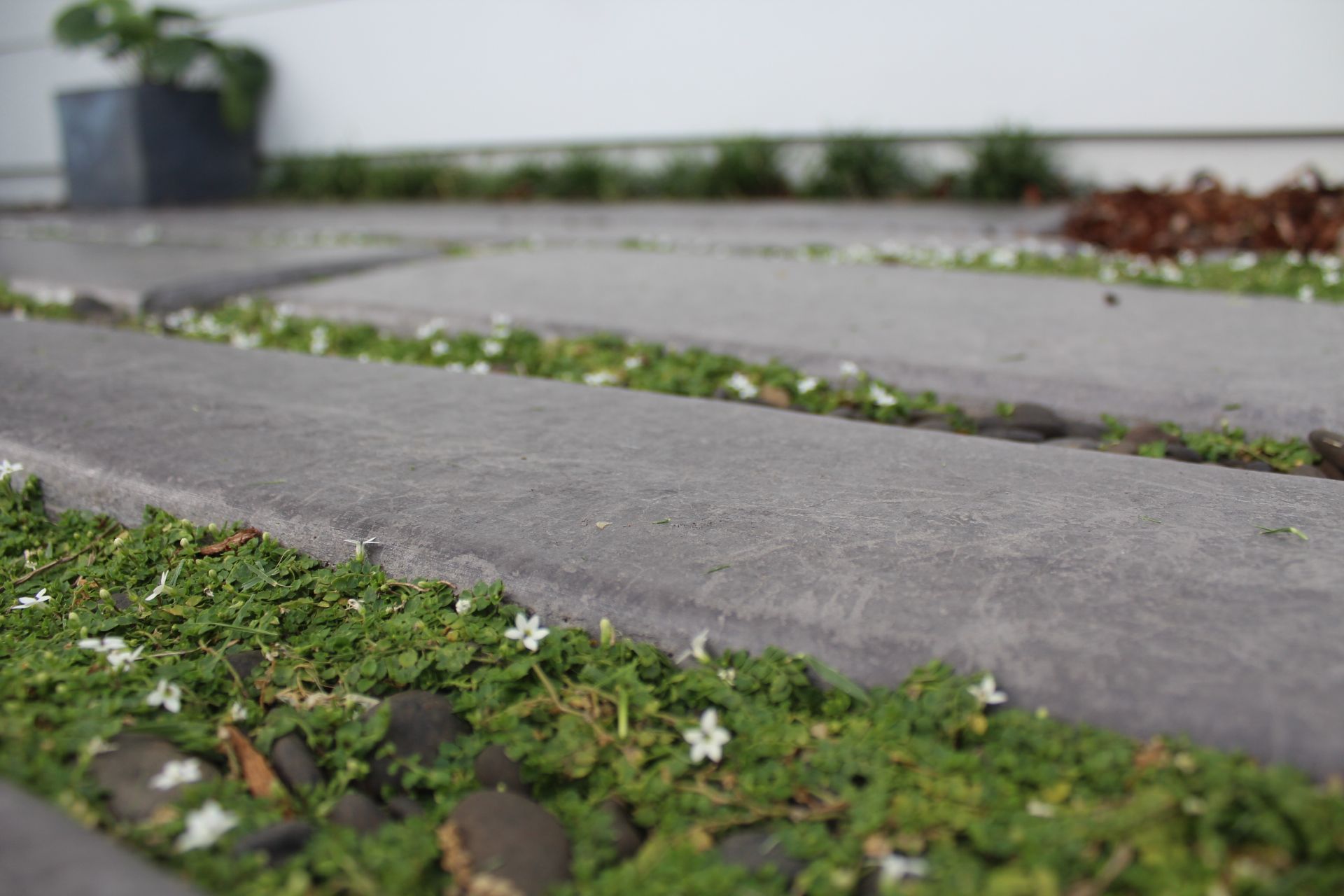 ##PALMVIEW Residence