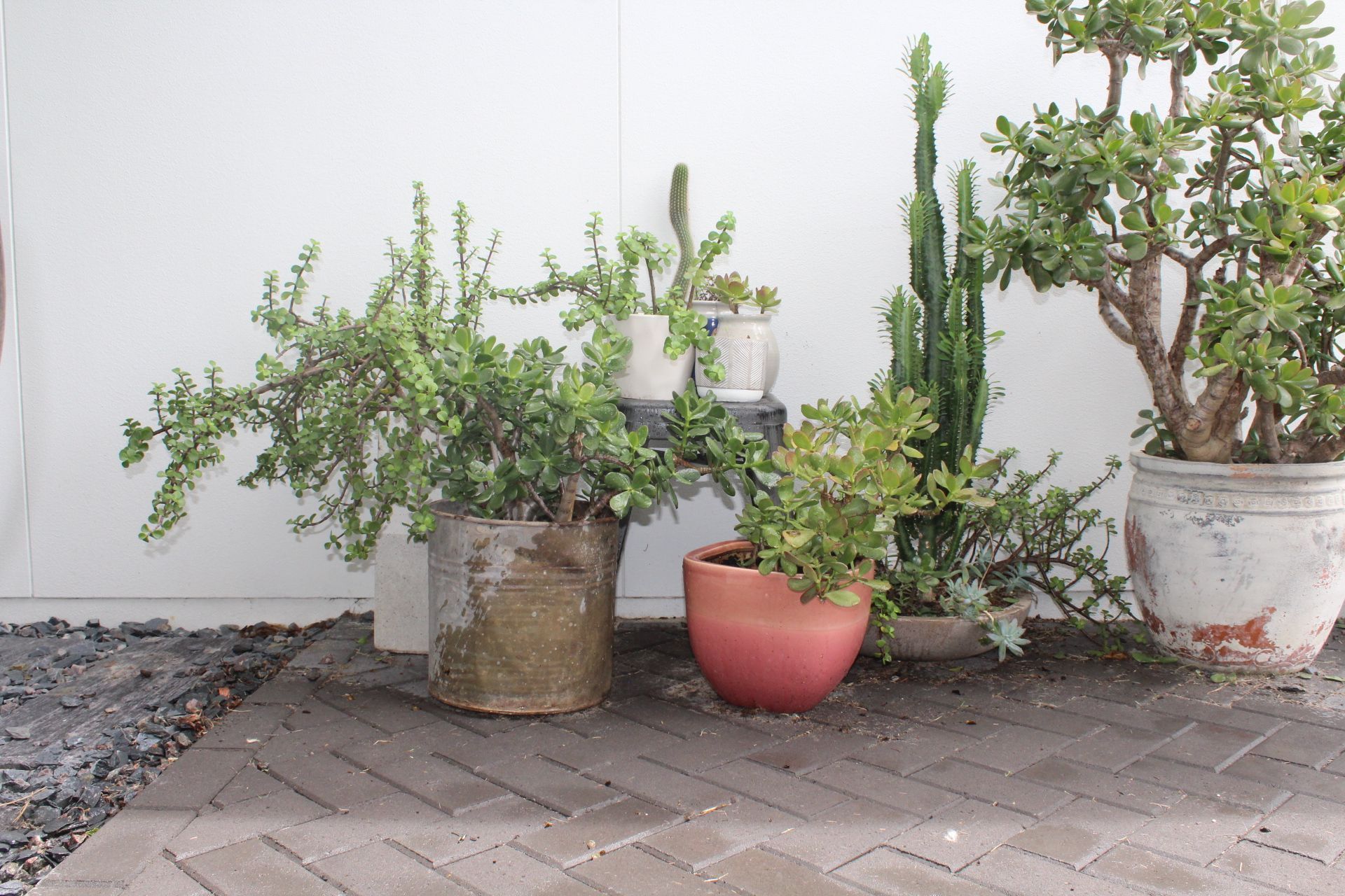 ##PALMVIEW Residence