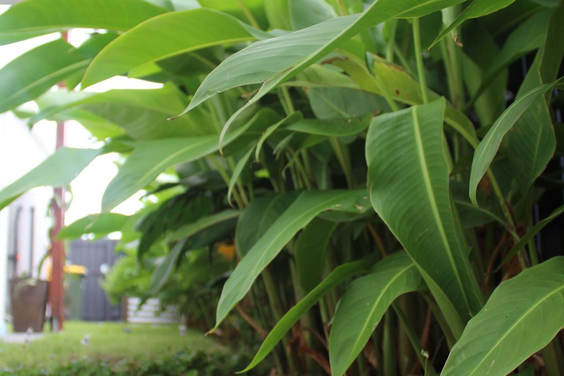 ##PALMVIEW Residence