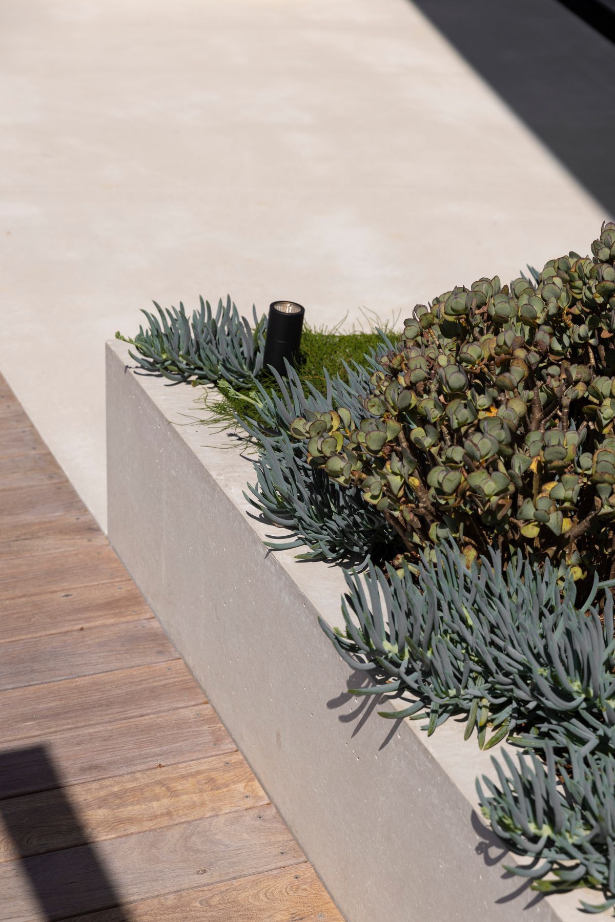 Pala-Details-12.jpg
