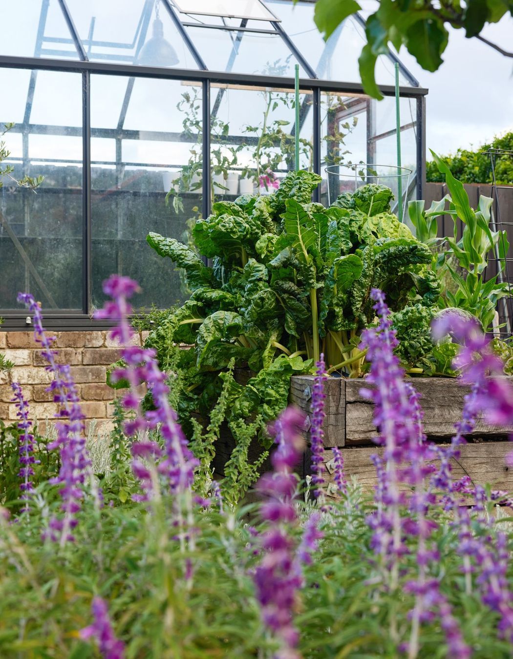 PepoBotanicDesignHaberfieldPhotographerNickBowersv2267.jpg