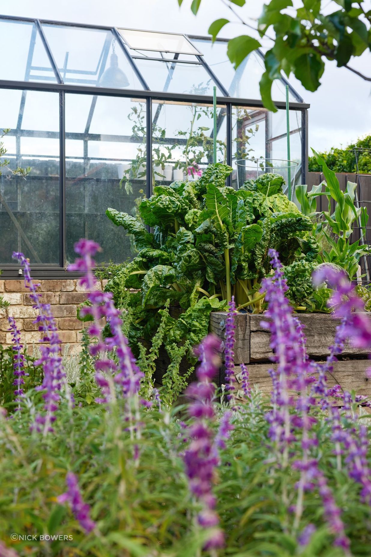 PepoBotanicDesignHaberfieldPhotographerNickBowersv2267.jpg