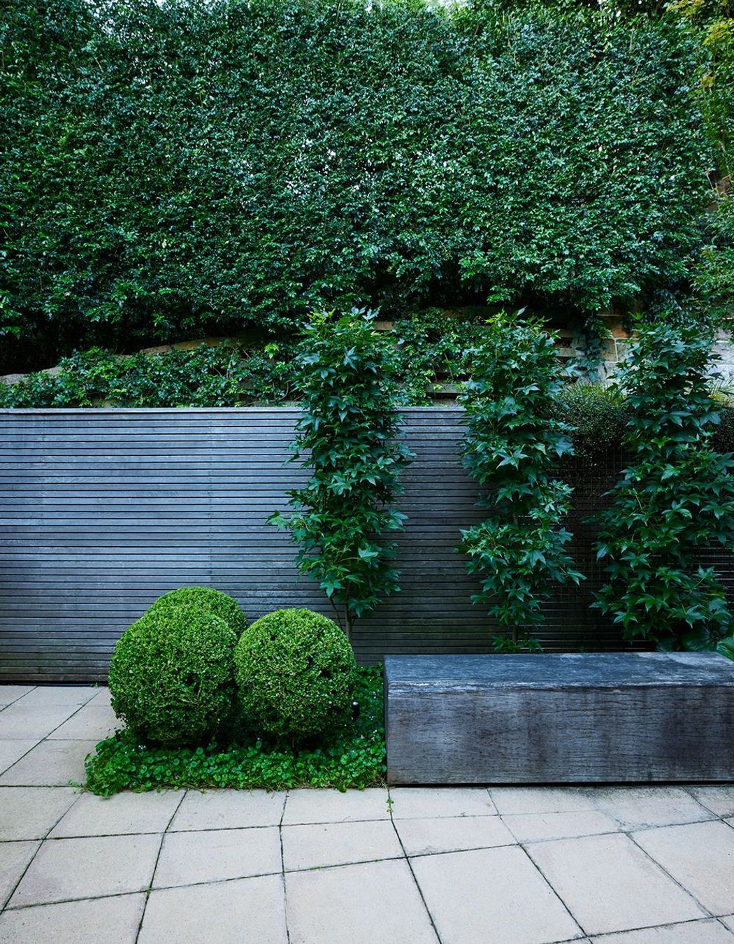 Paddington Courtyard