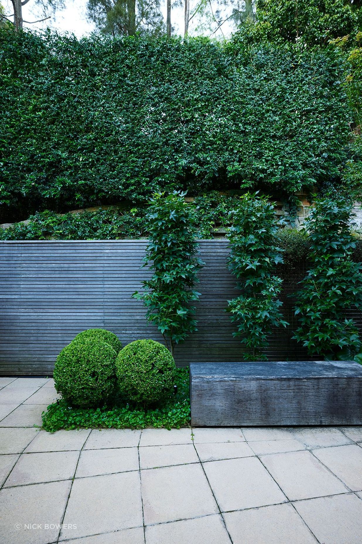 Paddington Courtyard