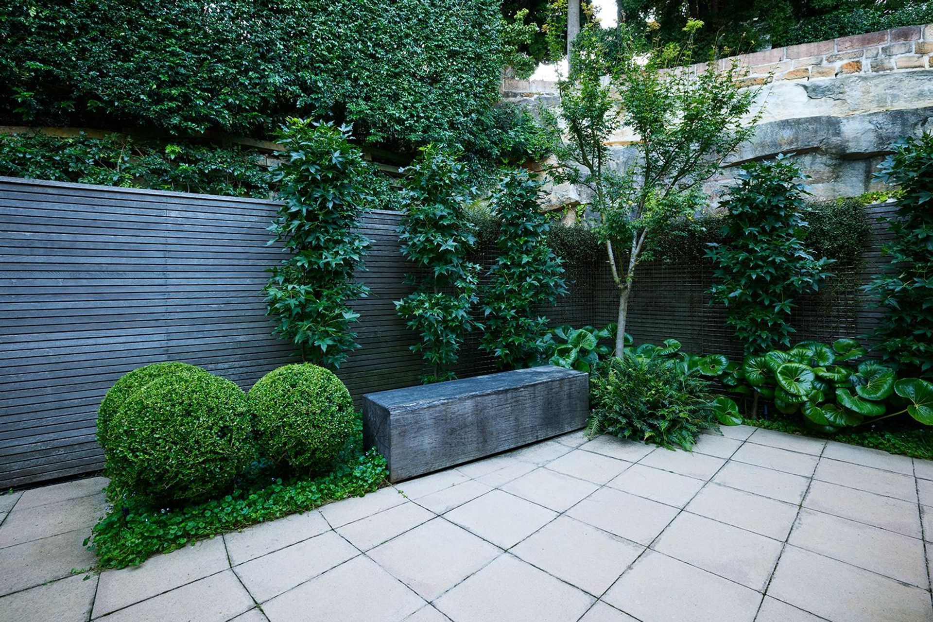 Paddington Courtyard