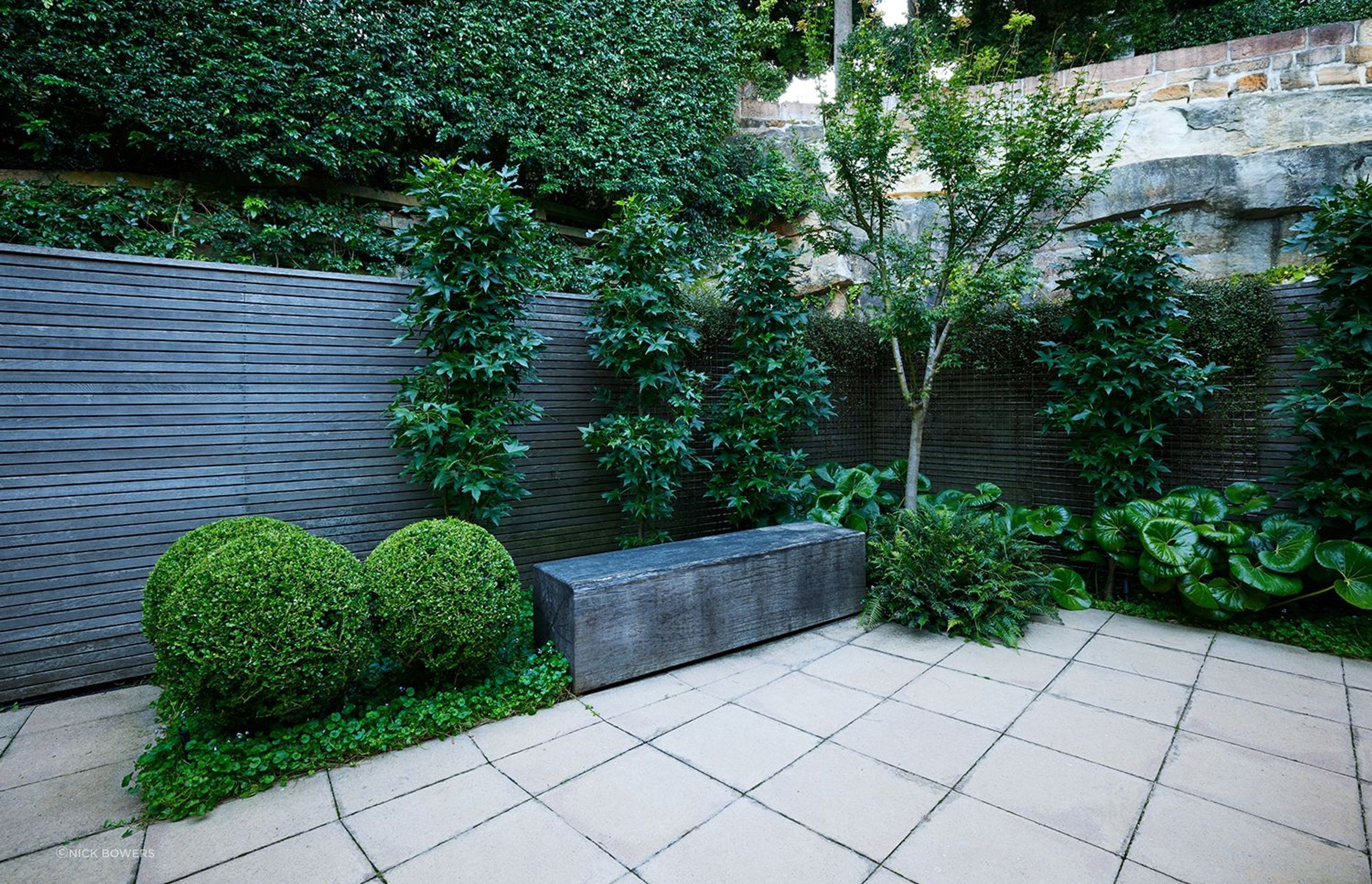 Paddington Courtyard