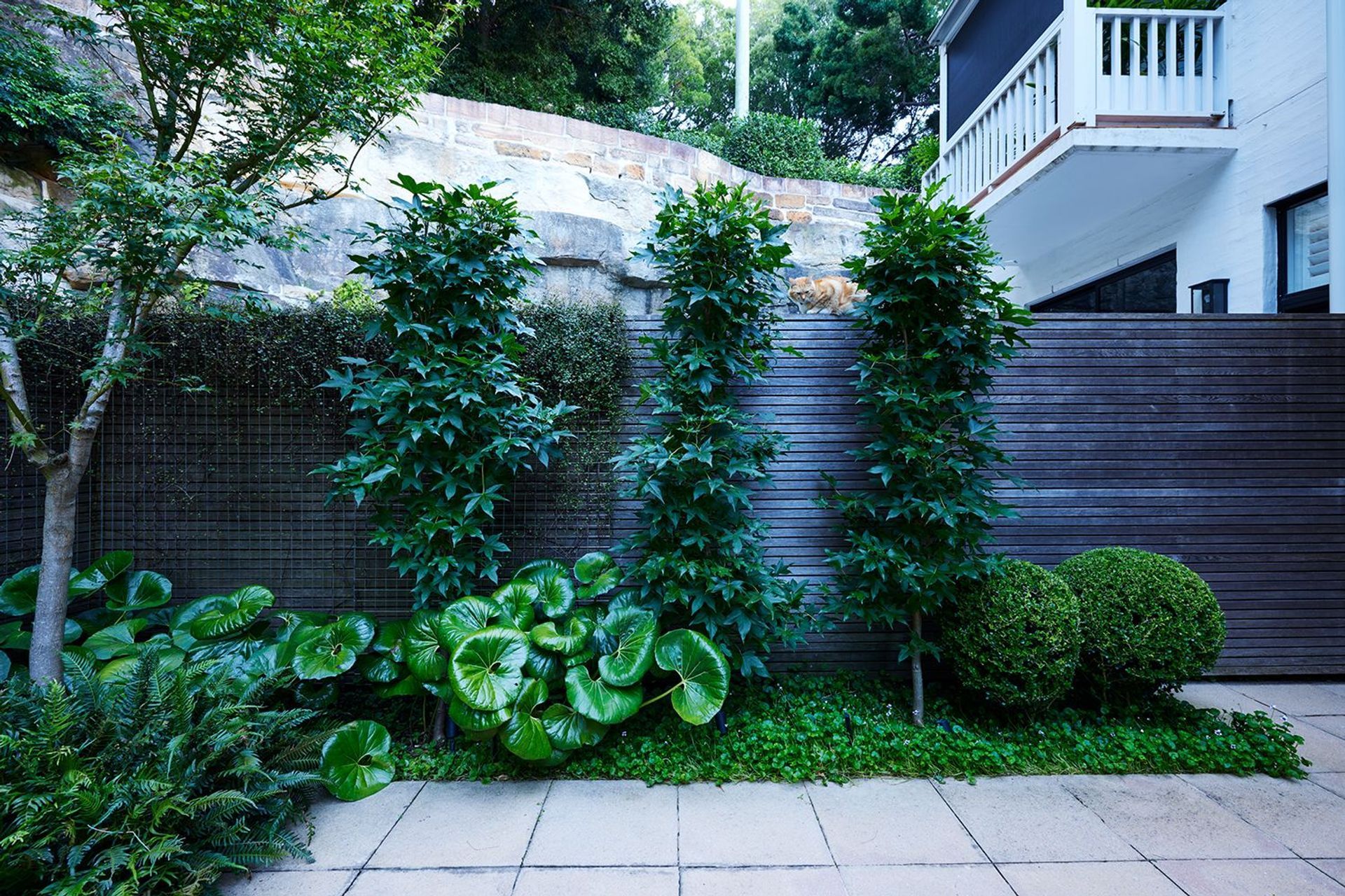Paddington Courtyard