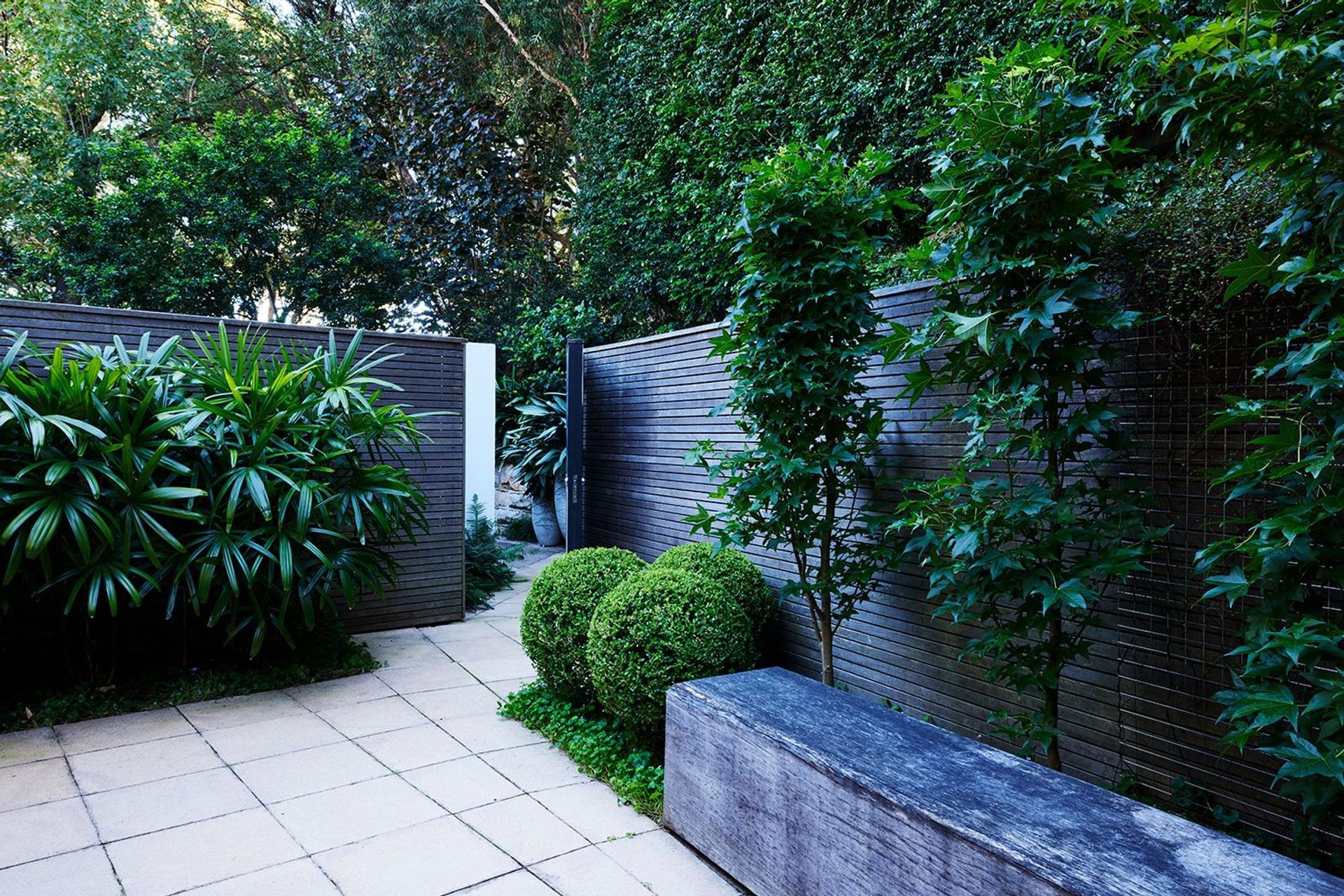 Paddington Courtyard