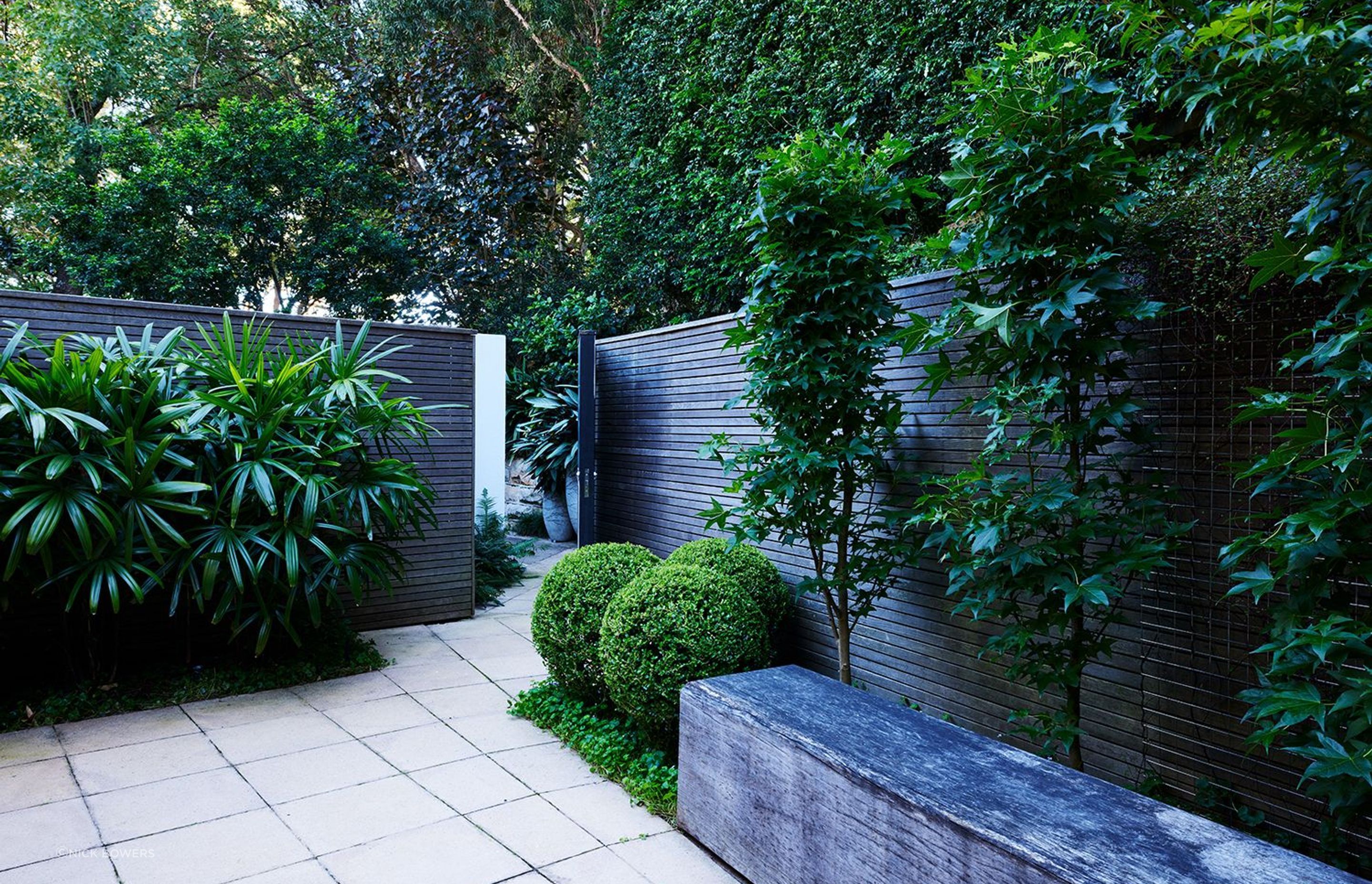Paddington Courtyard