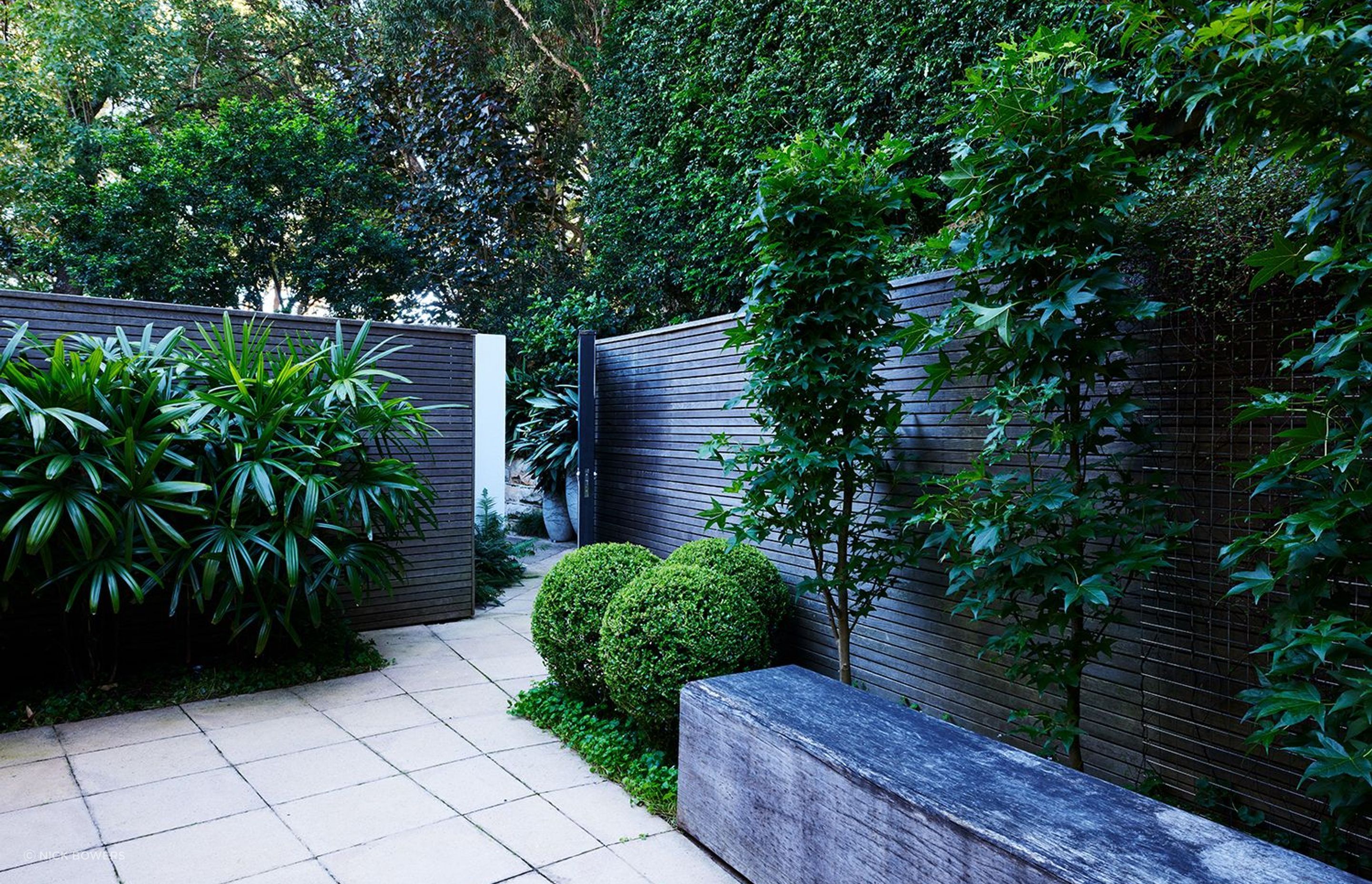 Paddington Courtyard