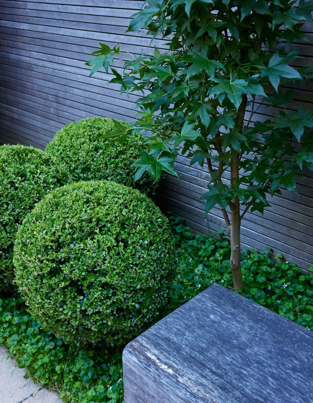 PepoBotanicDesignPaddingtonPhotographerNickBowers112-v2.jpg
