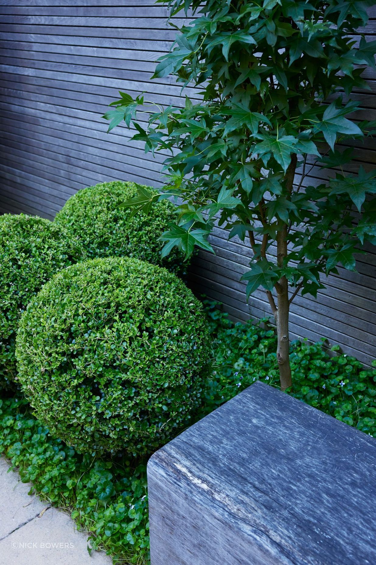 PepoBotanicDesignPaddingtonPhotographerNickBowers112-v2.jpg