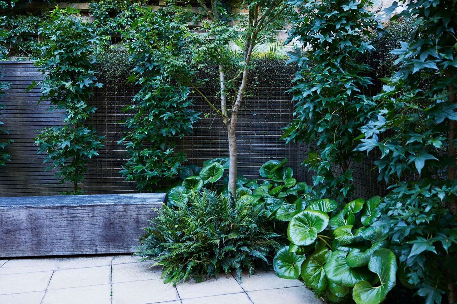 Paddington Courtyard