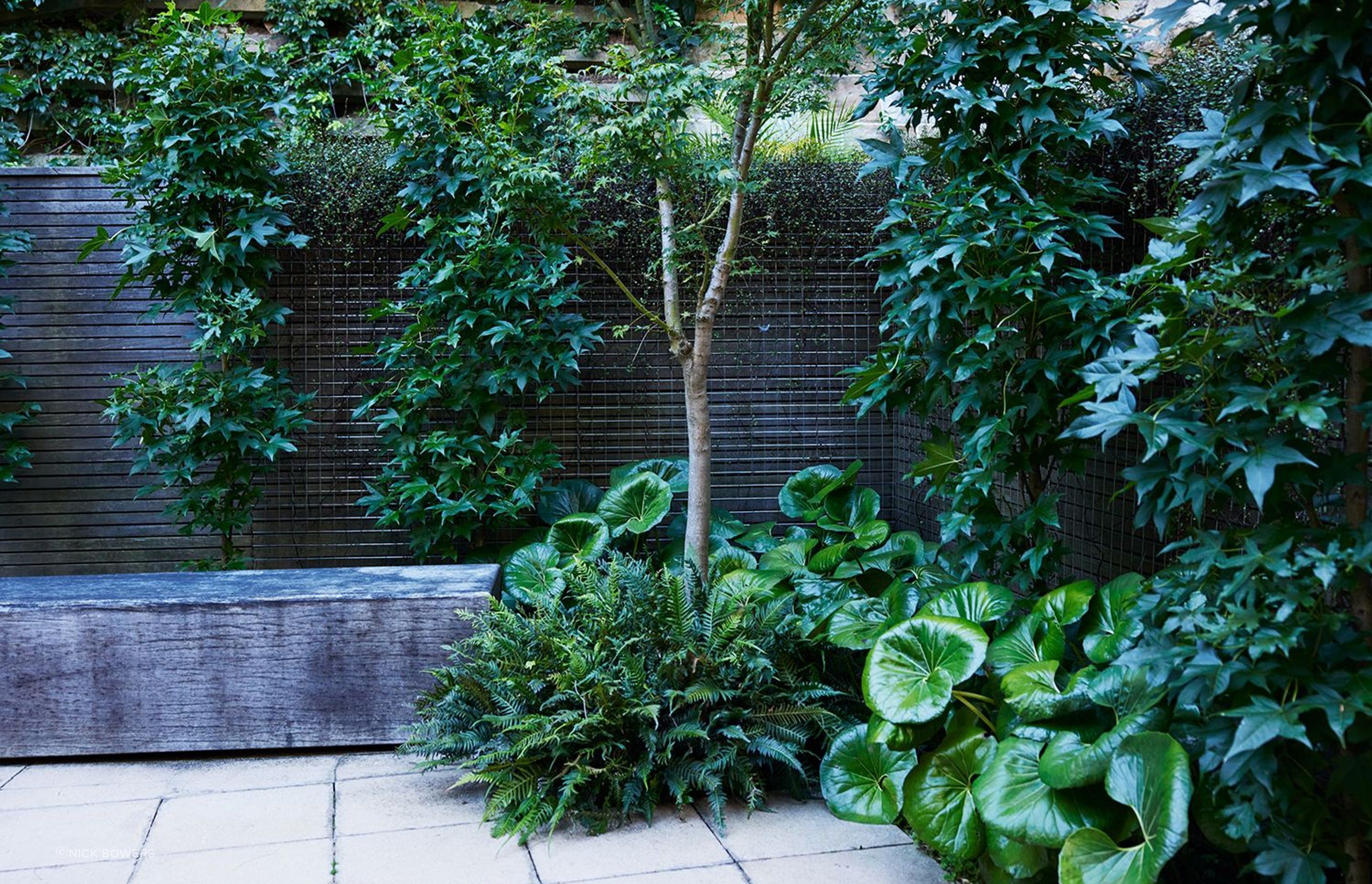 Paddington Courtyard