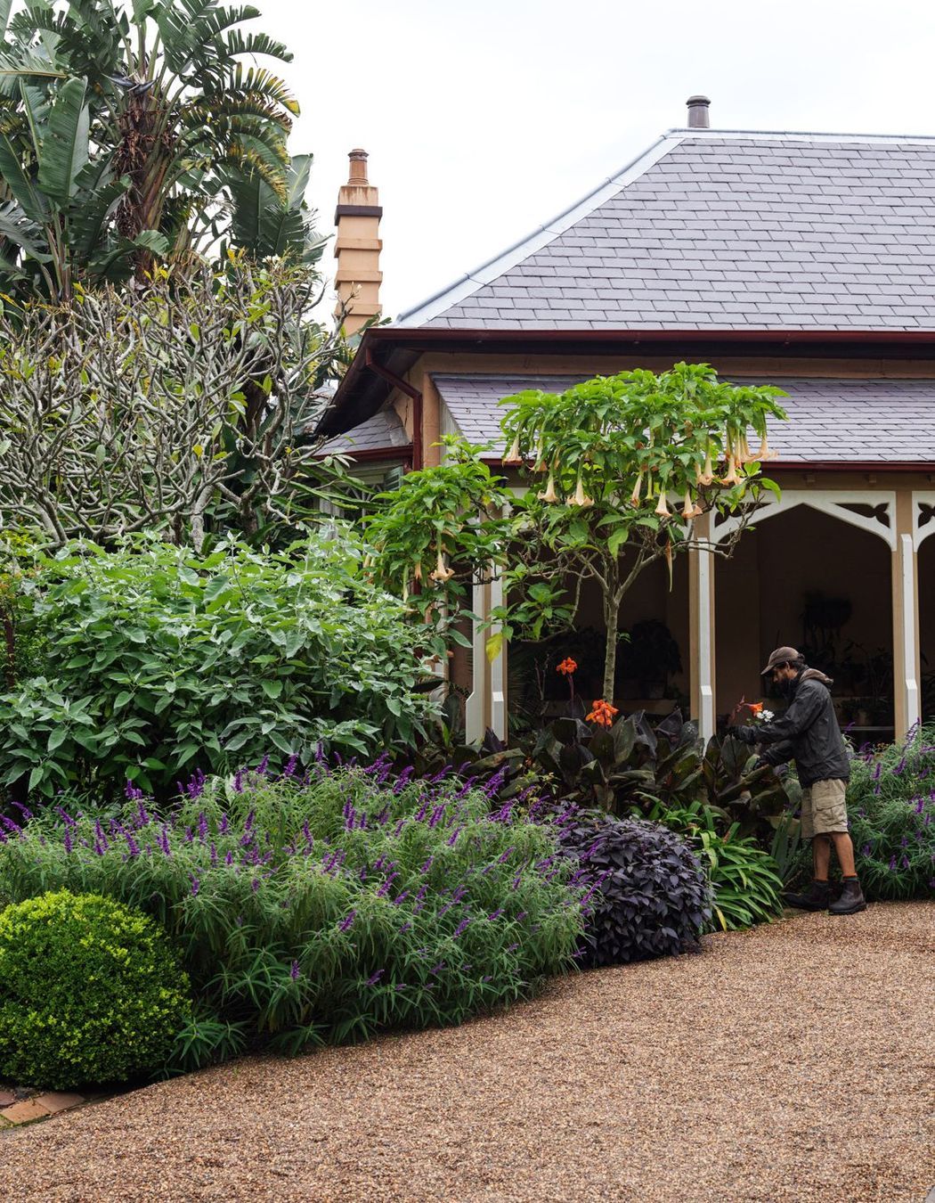 Bronte House