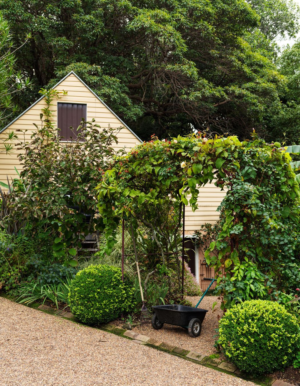 Bronte House