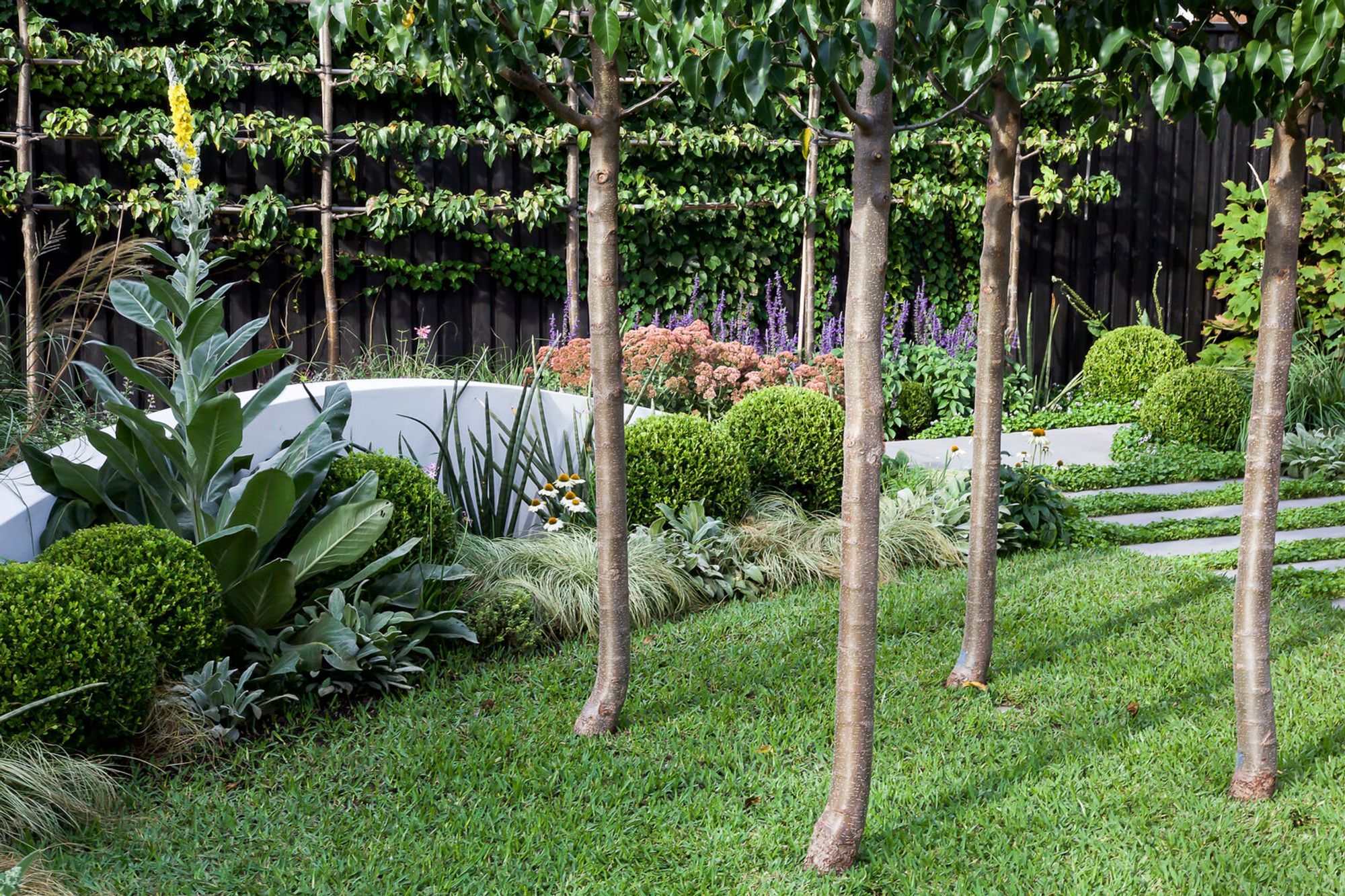 Glenn's Garden