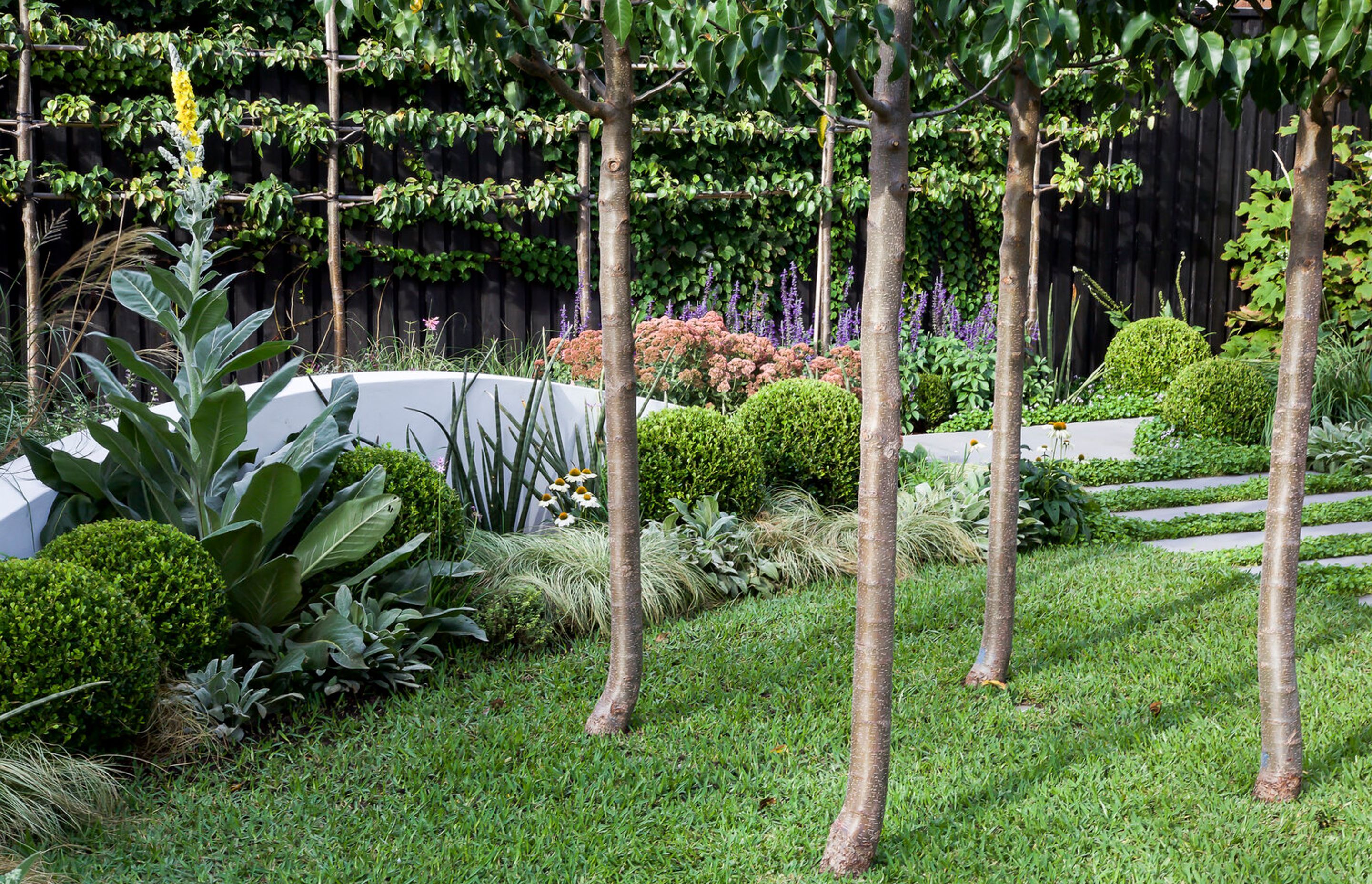 Glenn's Garden