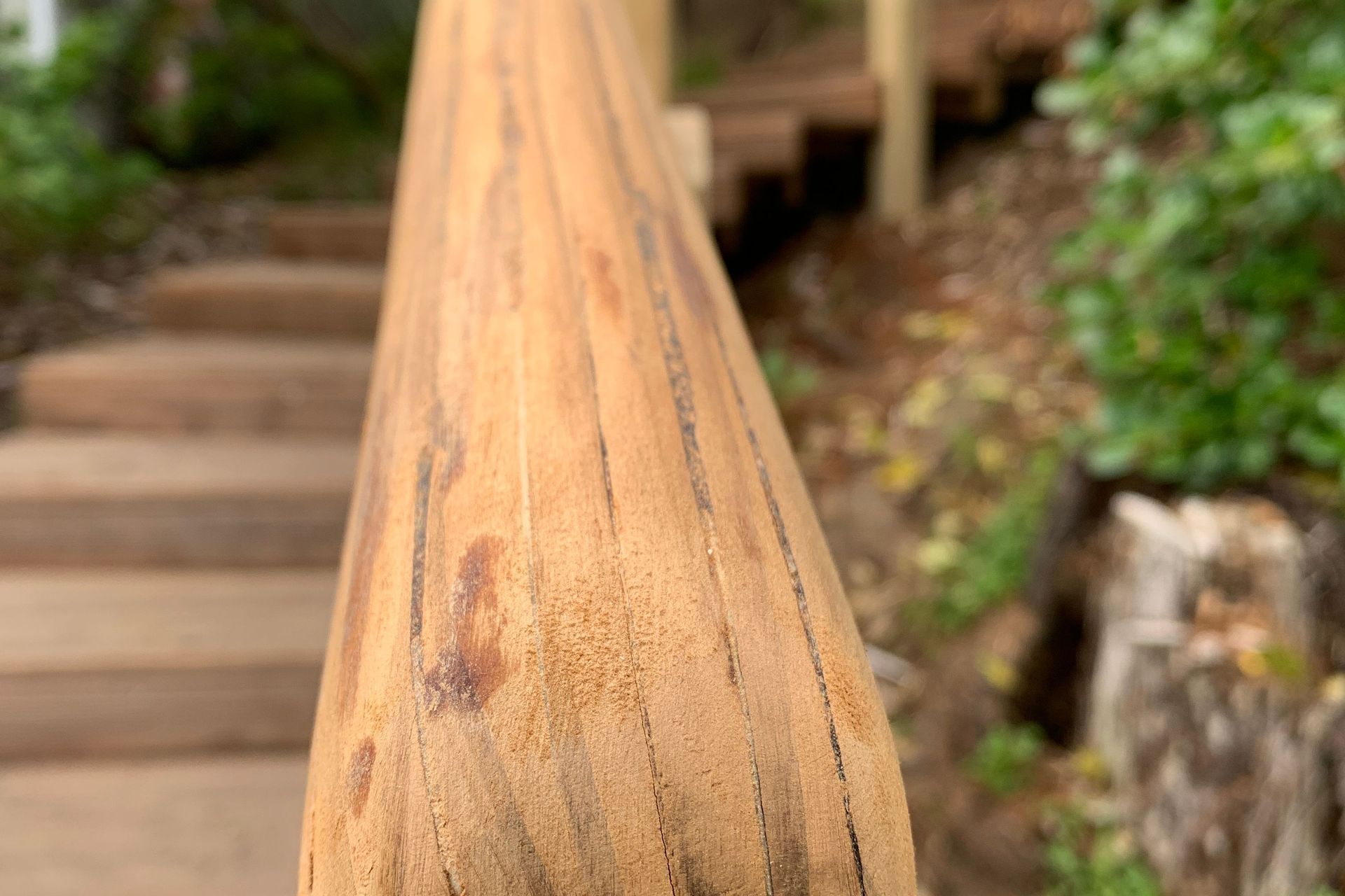 Raumati Beach - Curved Steps