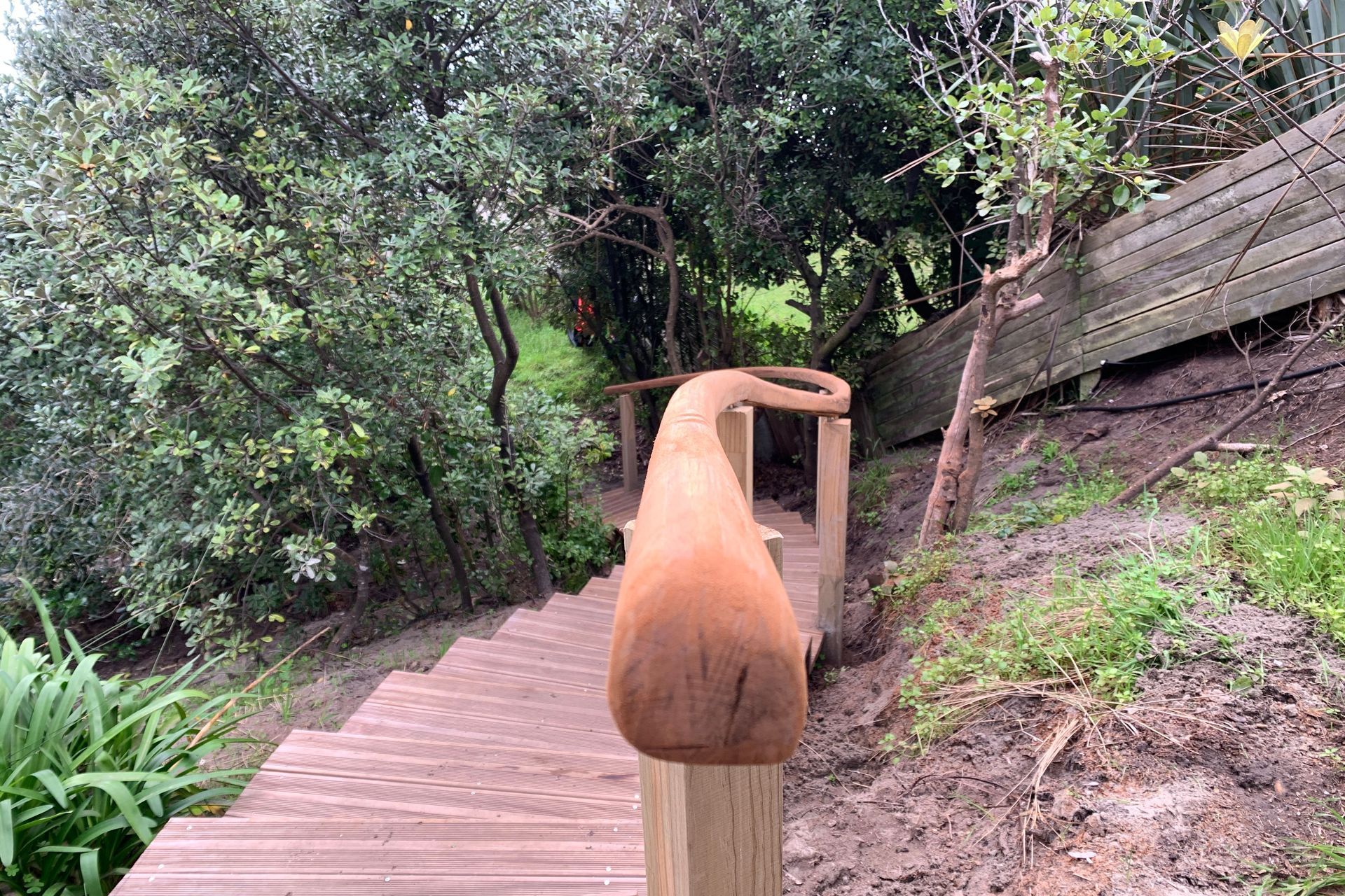 Raumati Beach - Curved Steps