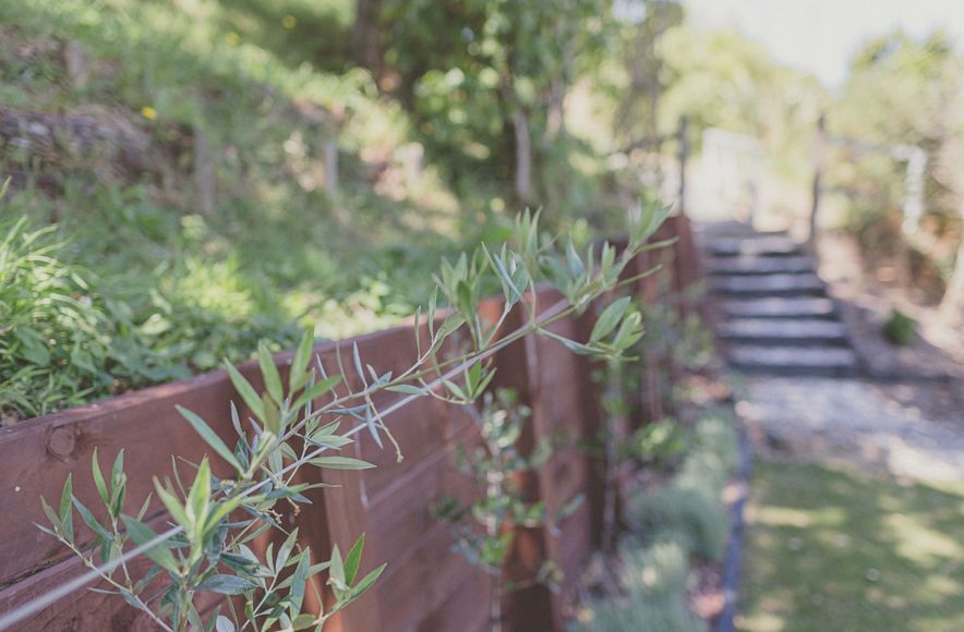 Home Garden, Northland