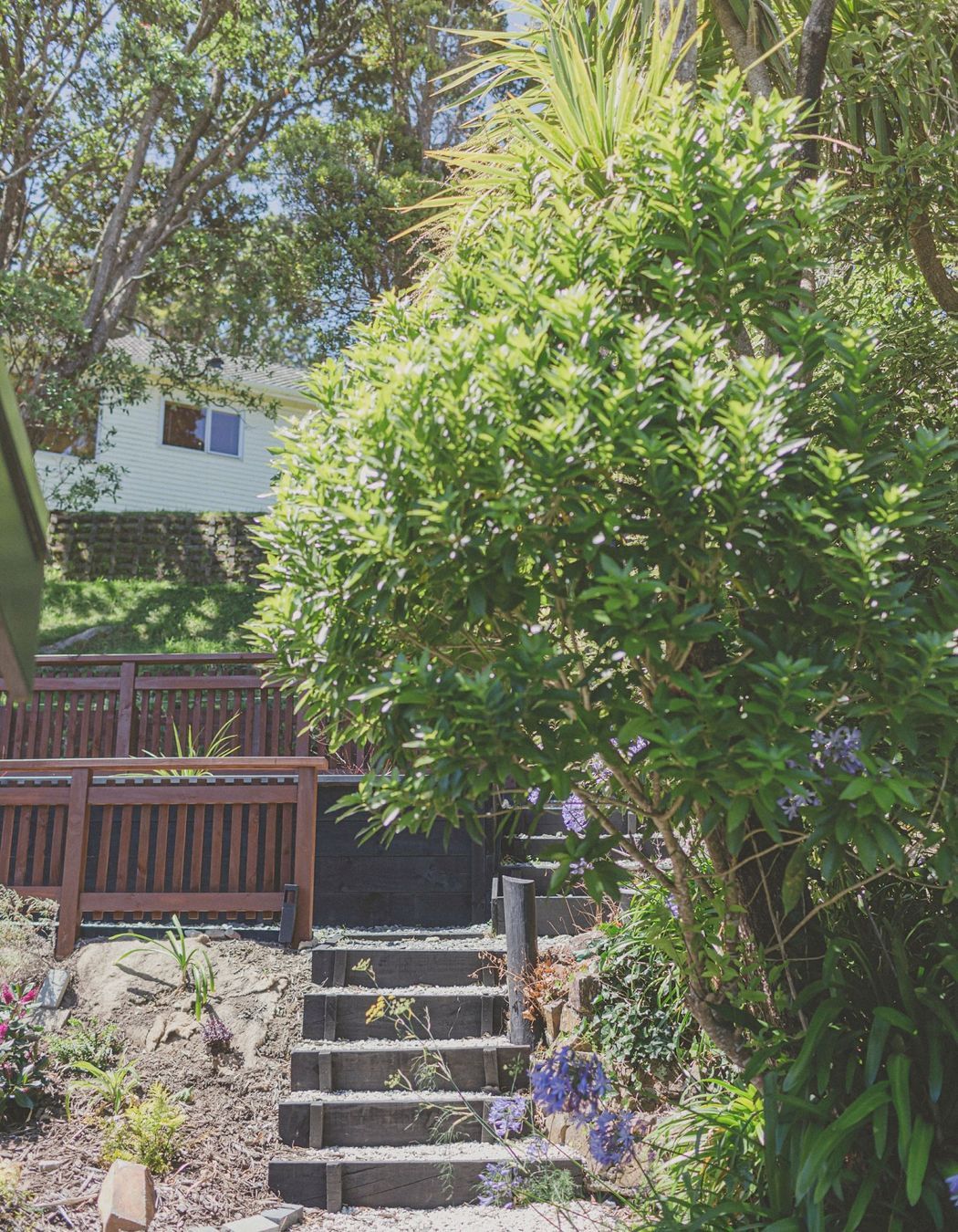 Home Garden, Northland