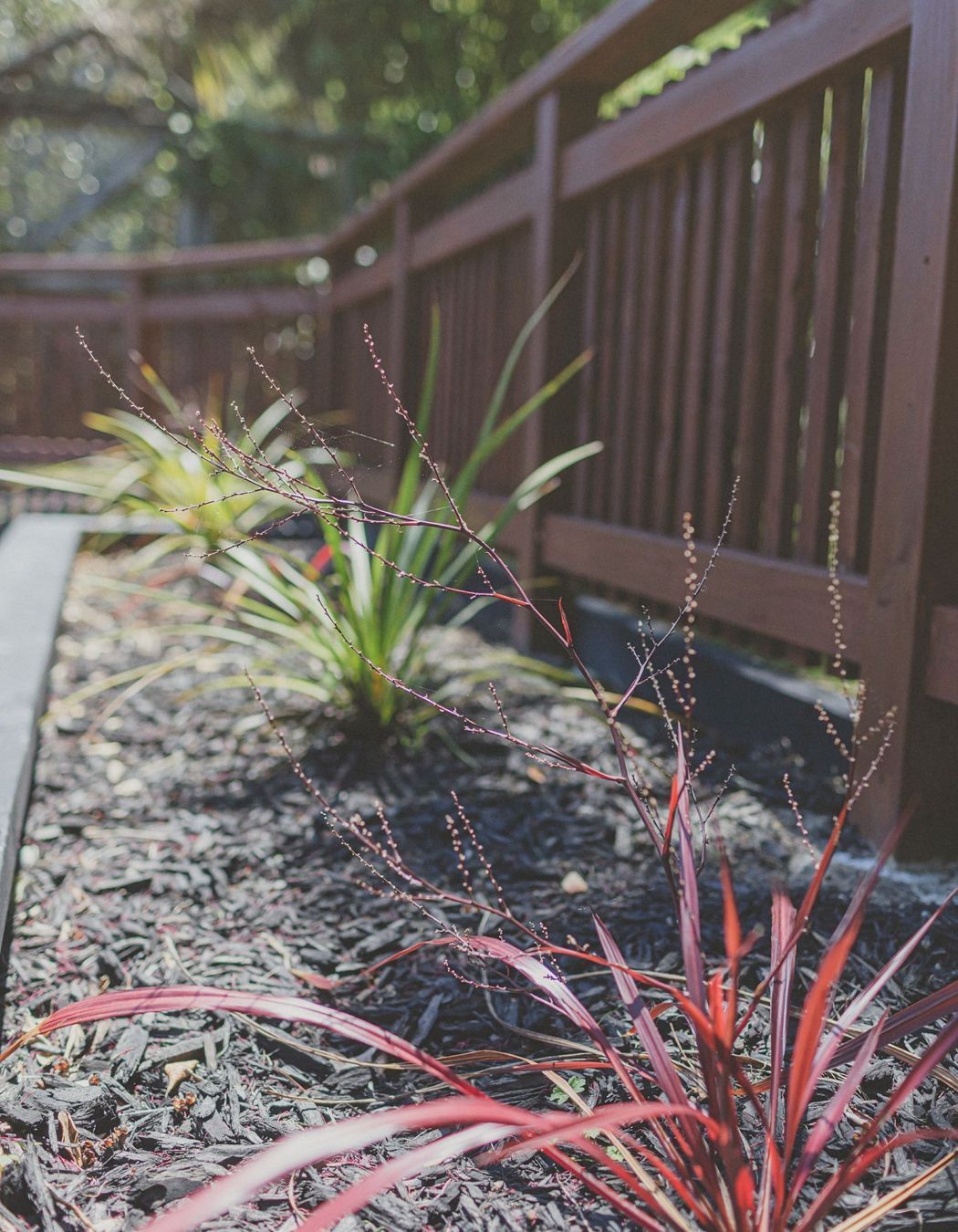 Home Garden, Northland