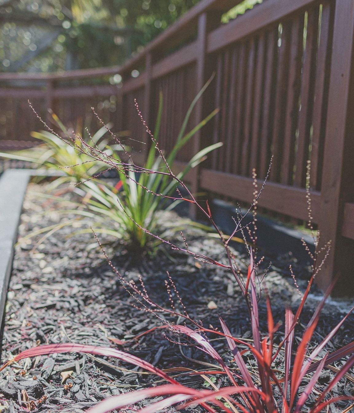 Home Garden, Northland