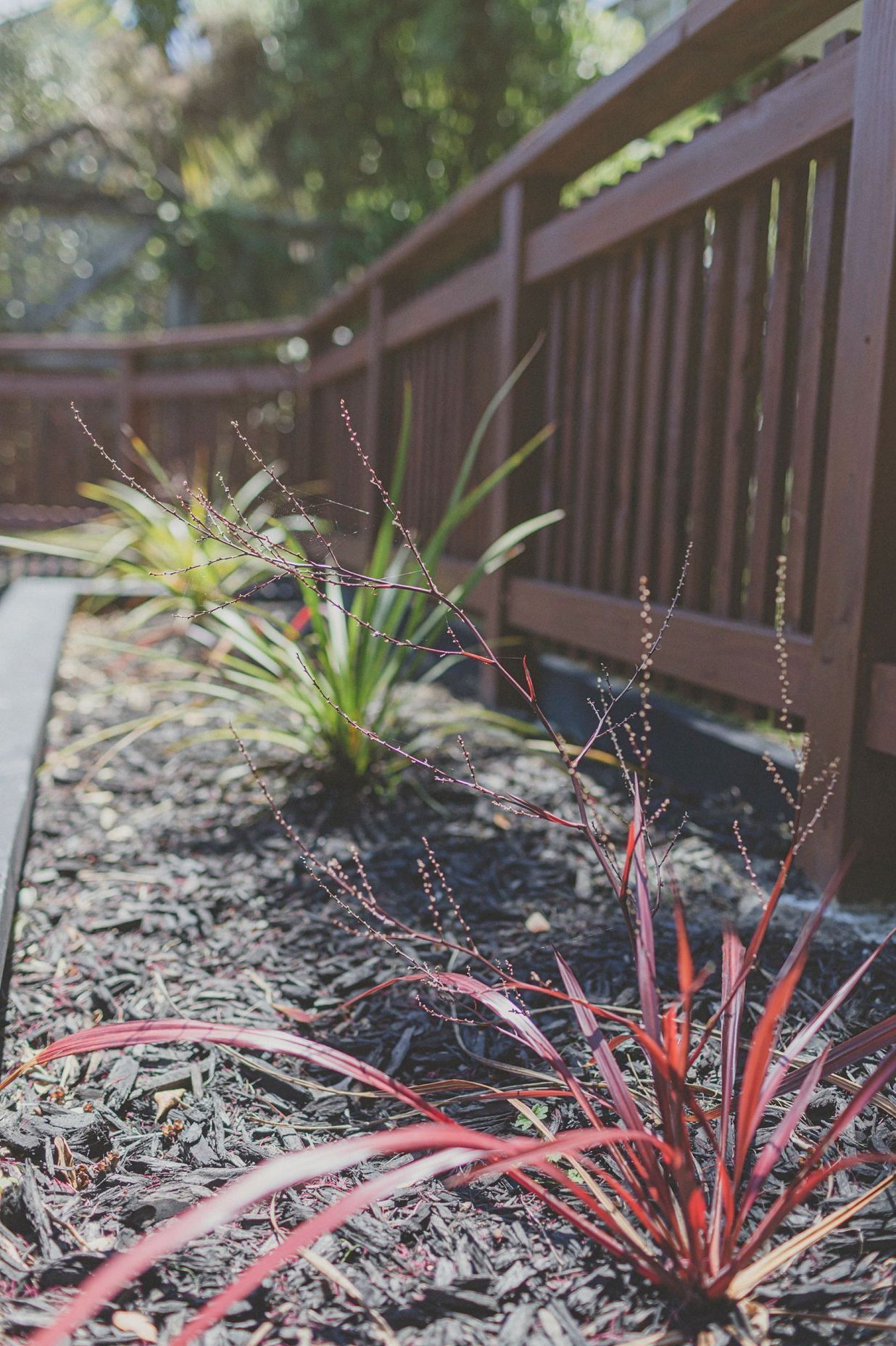 Home Garden, Northland