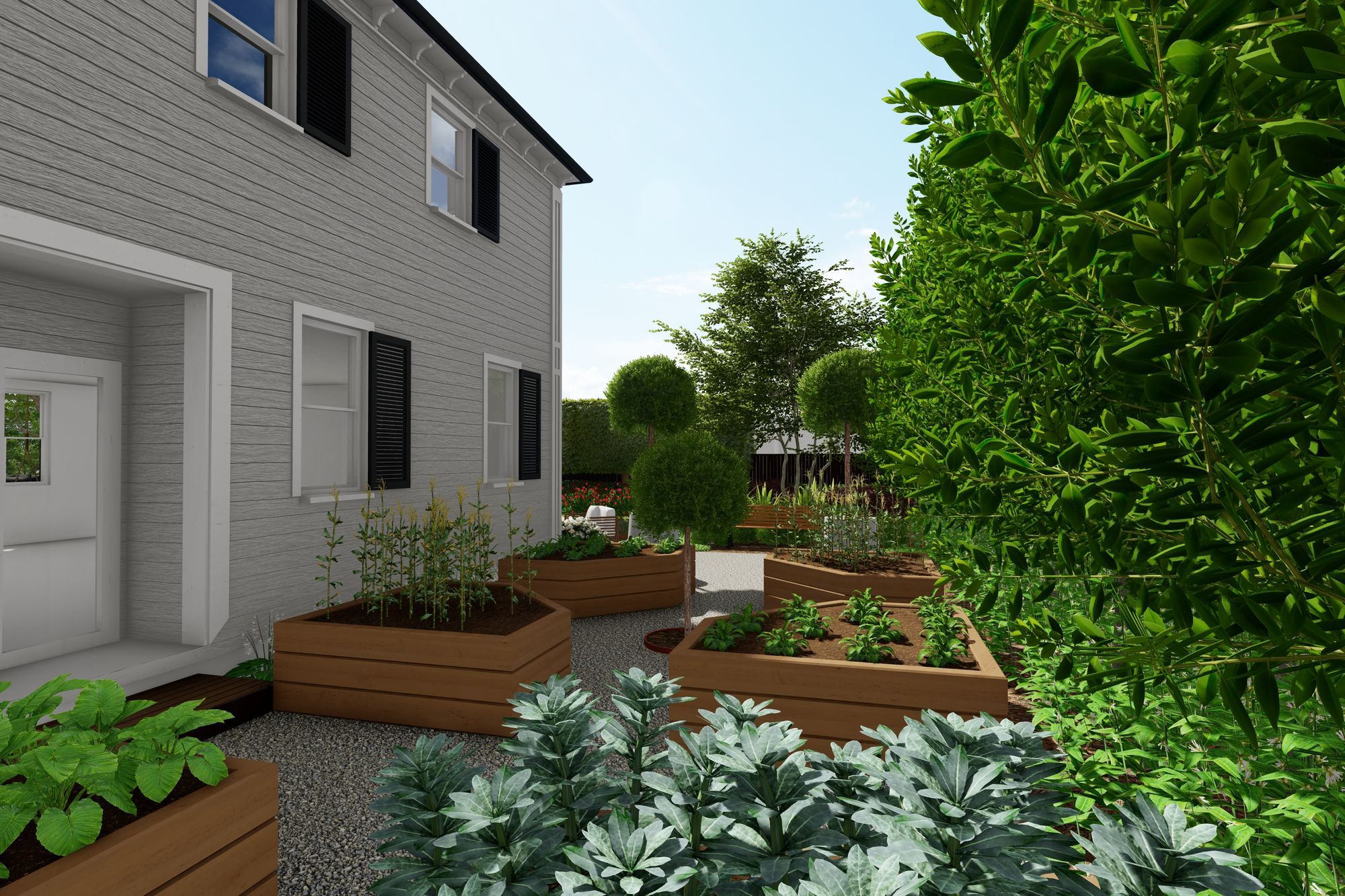 Picture-1-Veggie-patch.jpg