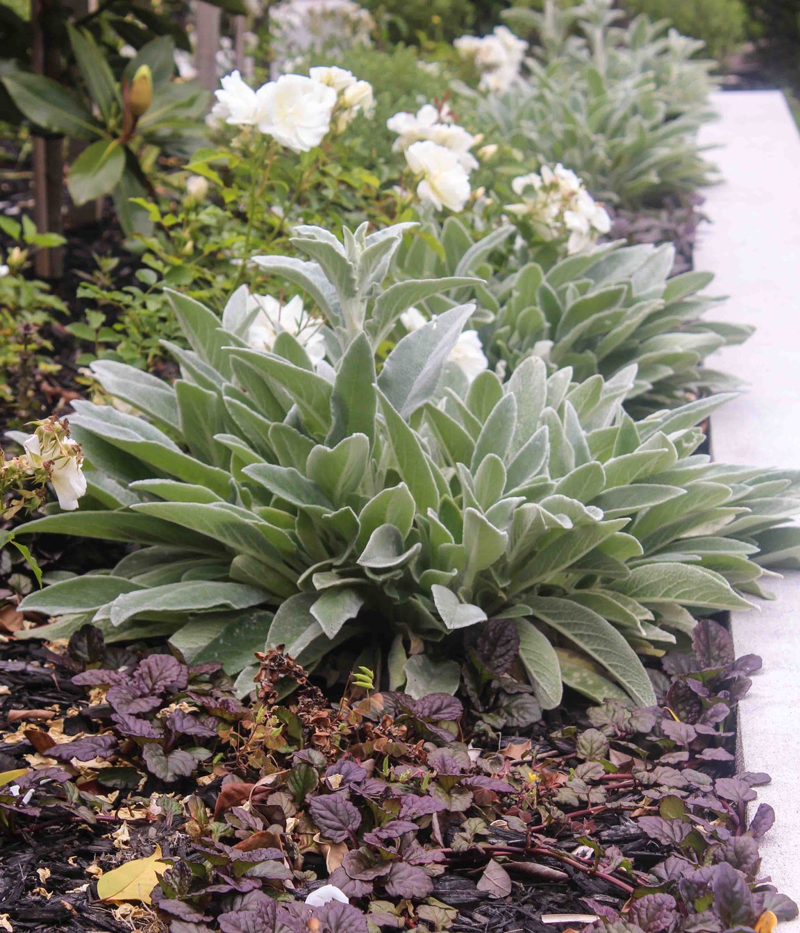 Plant-Palette.jpg