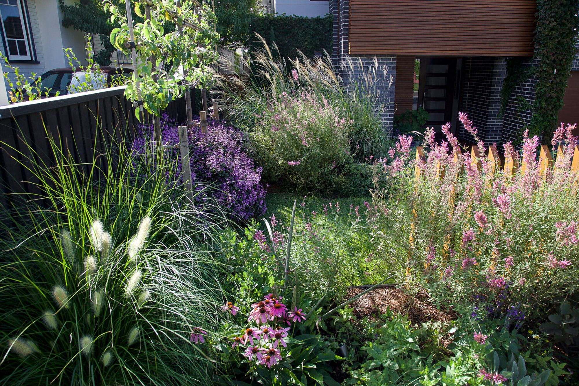 Glenn's Garden