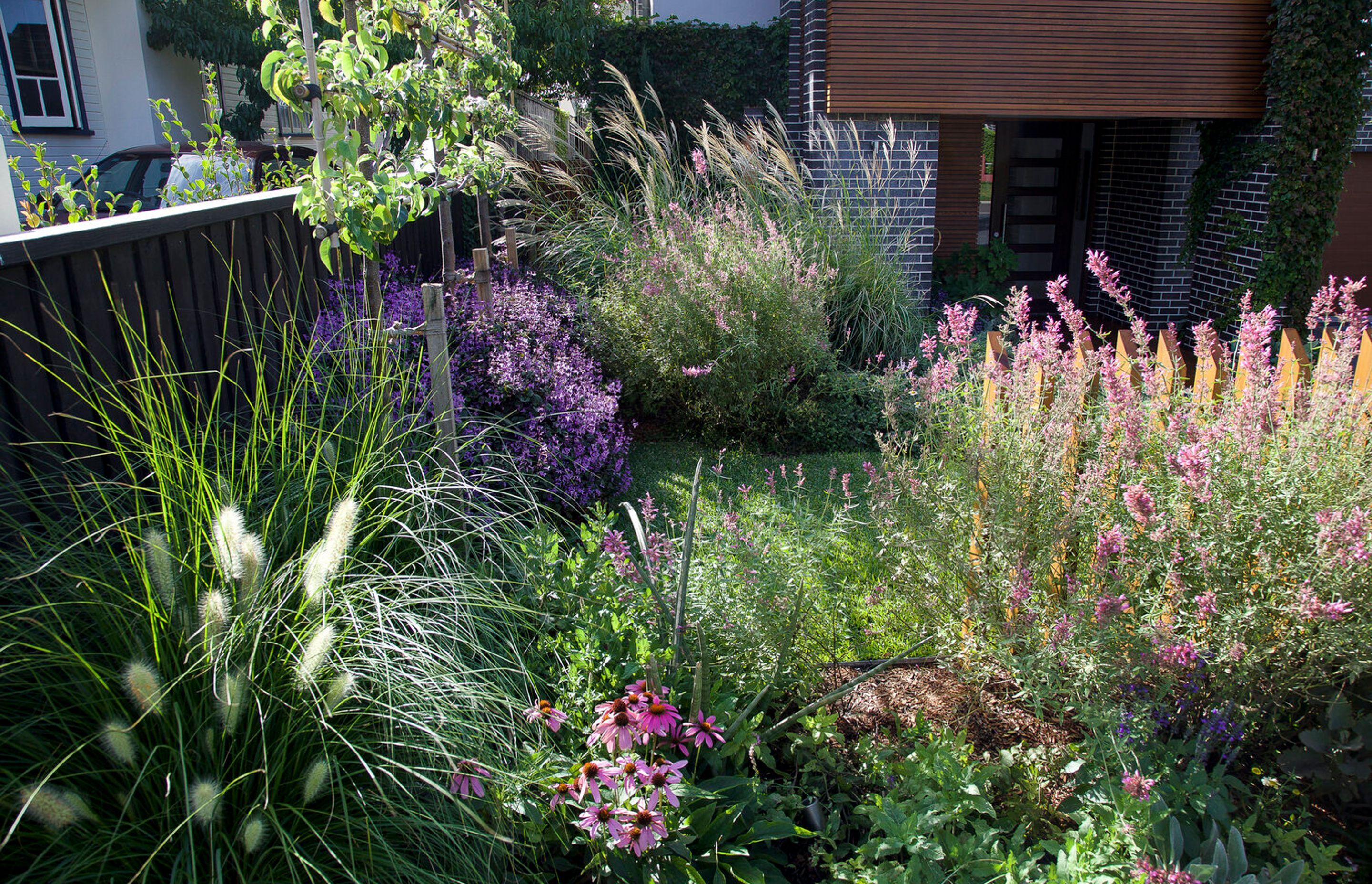 Glenn's Garden