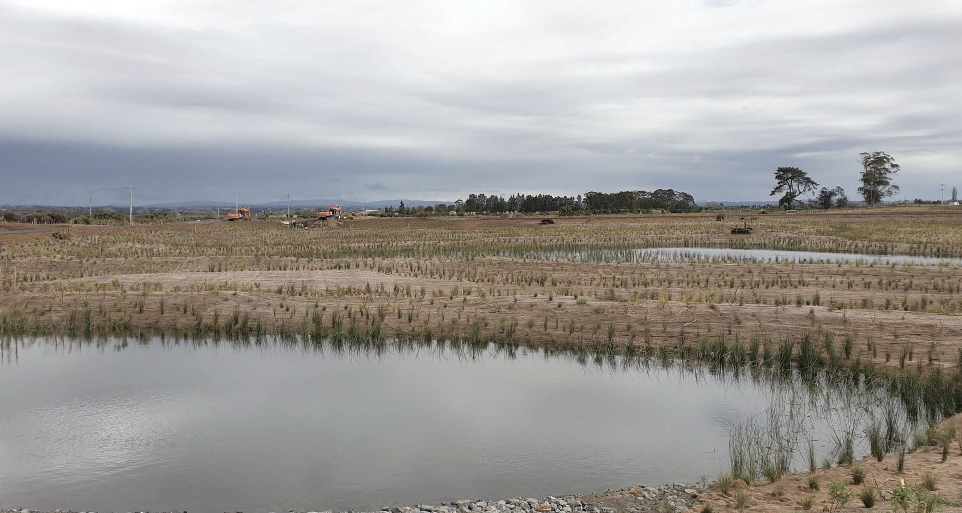 Wairaki Pond G banner