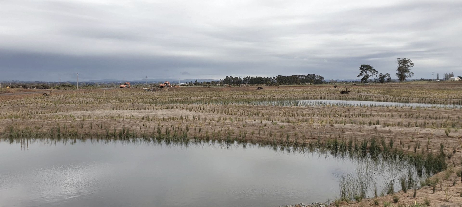 Wairaki Pond G banner