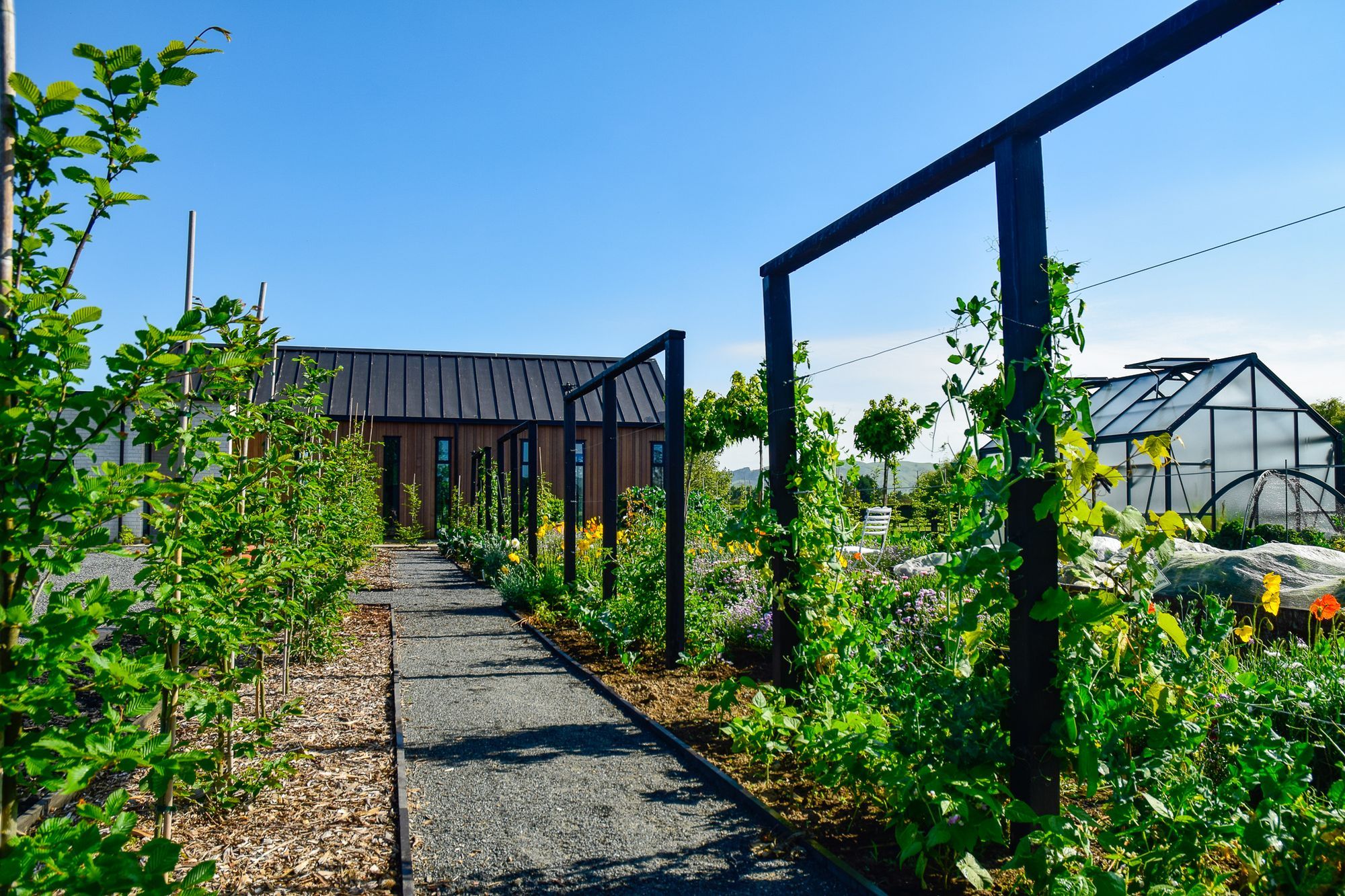 Potager Garden
