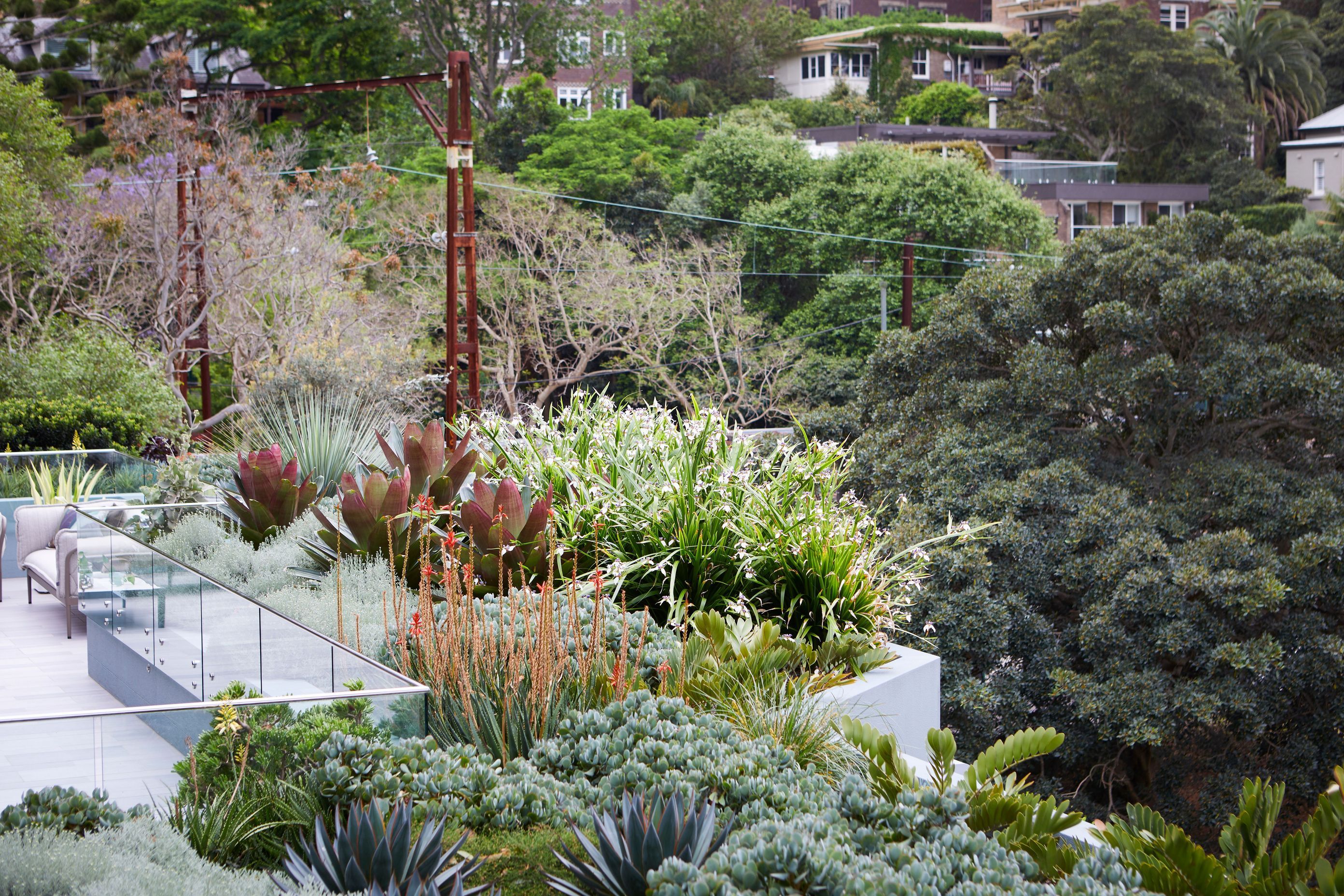 Lavender Bay