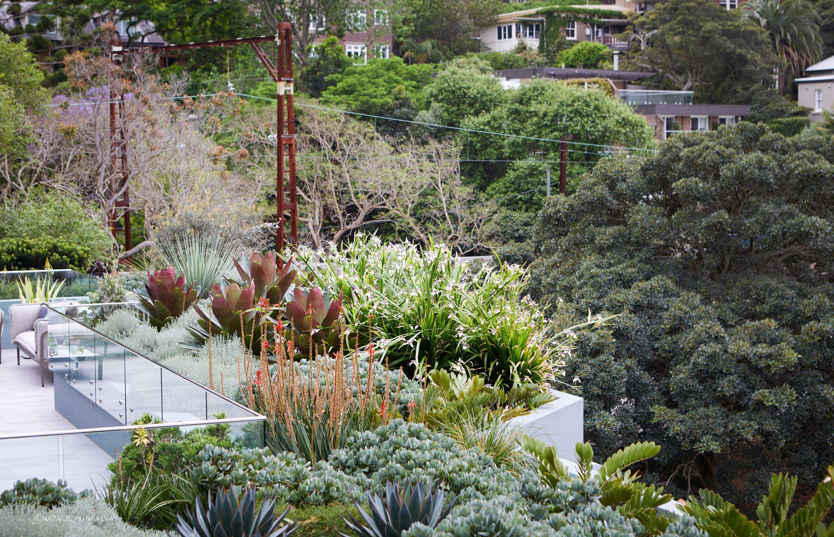 Lavender Bay