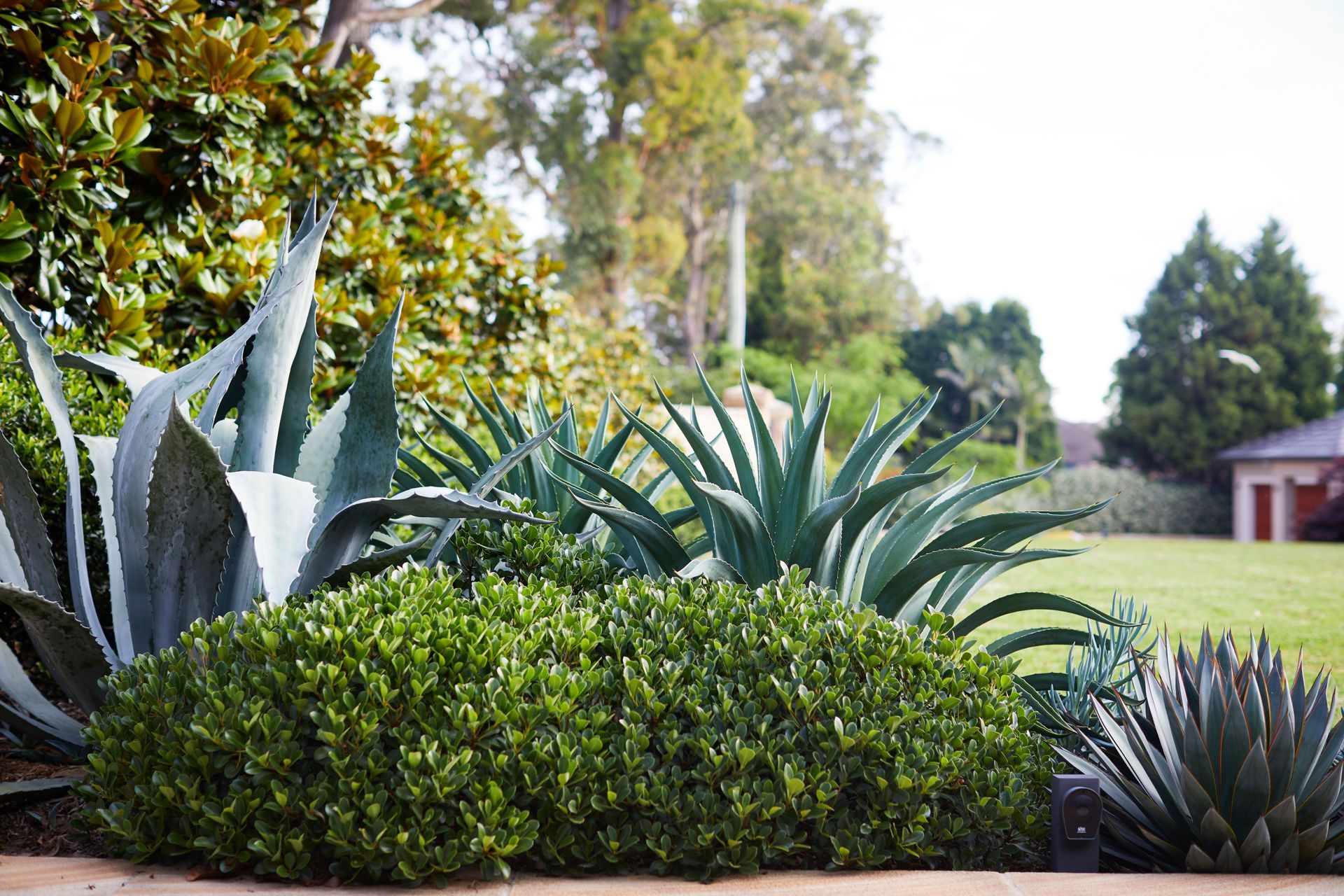 Kenthurst