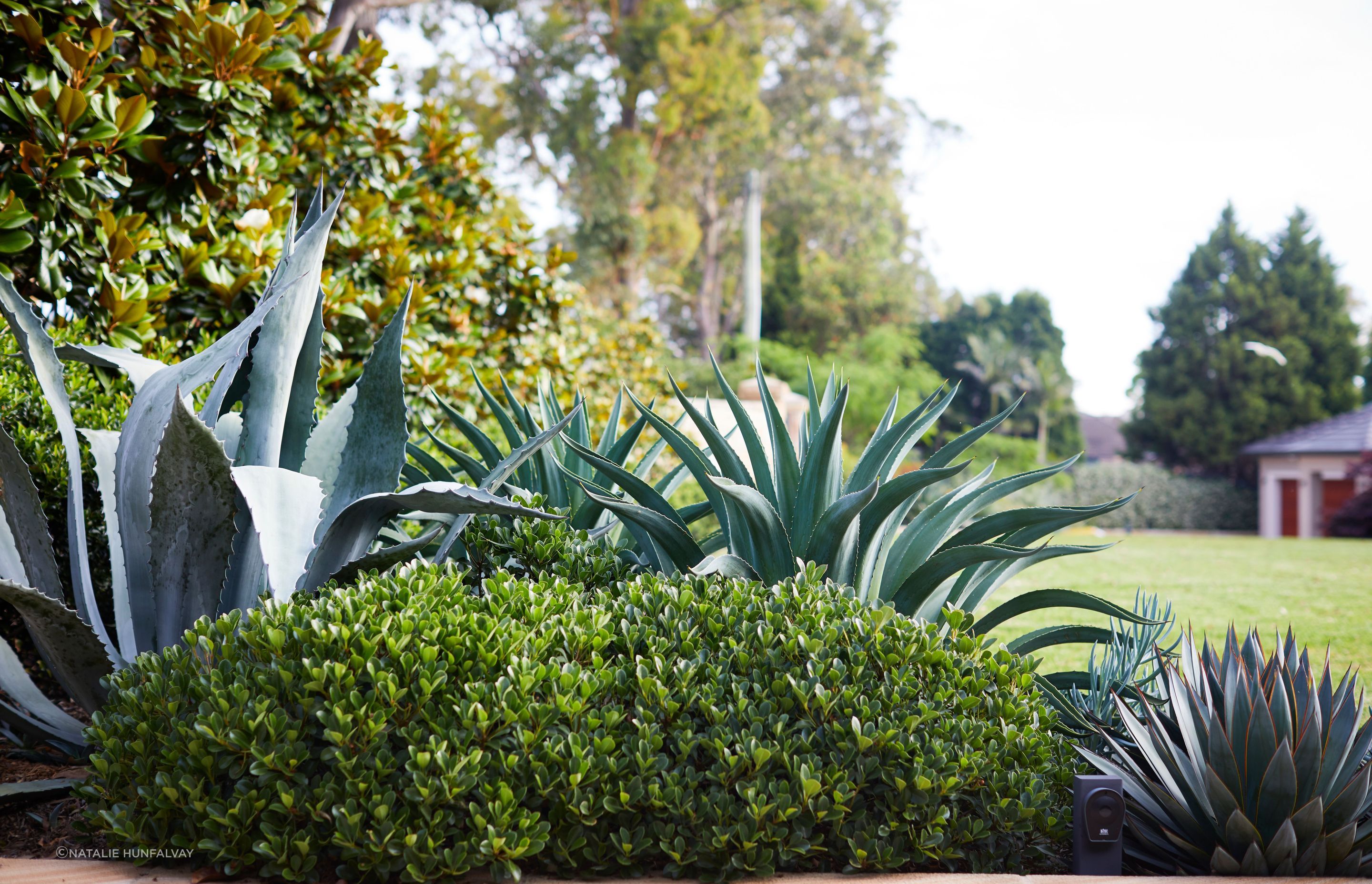 Kenthurst