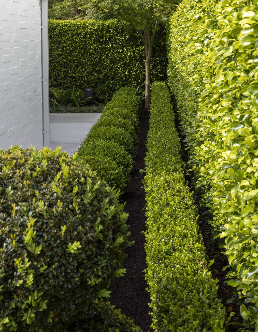 Lucerne Road, Remuera