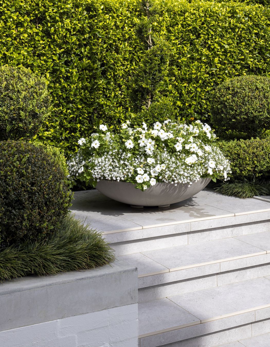 Lucerne Road, Remuera