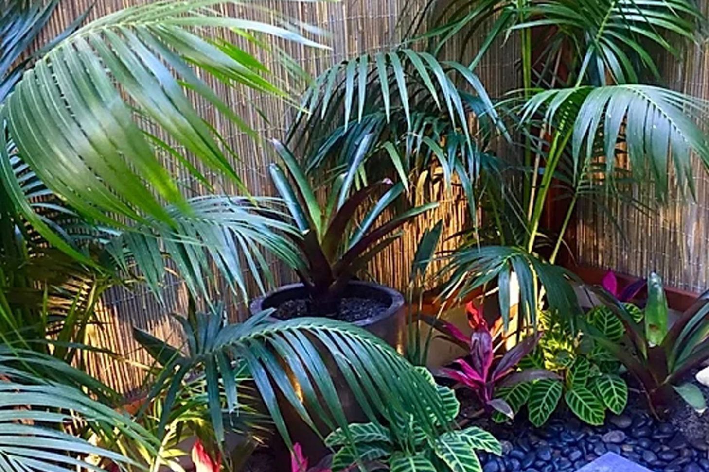 BALINESE GARDEN