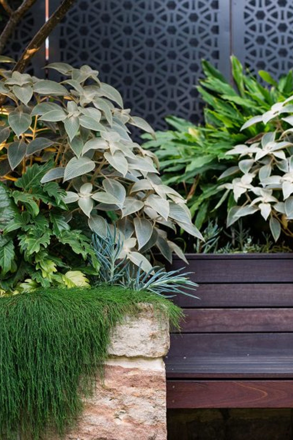 Randwick Secret Garden