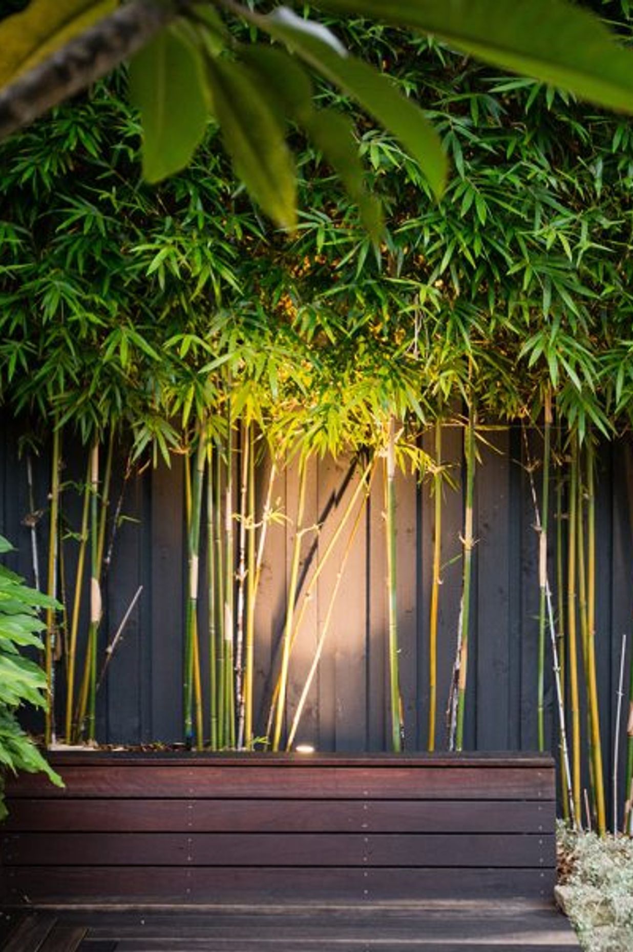 Randwick Secret Garden