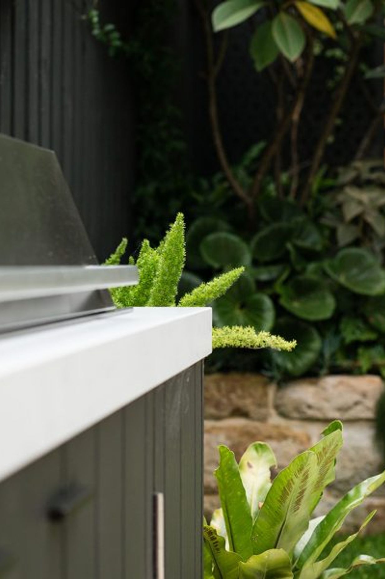 Randwick Secret Garden