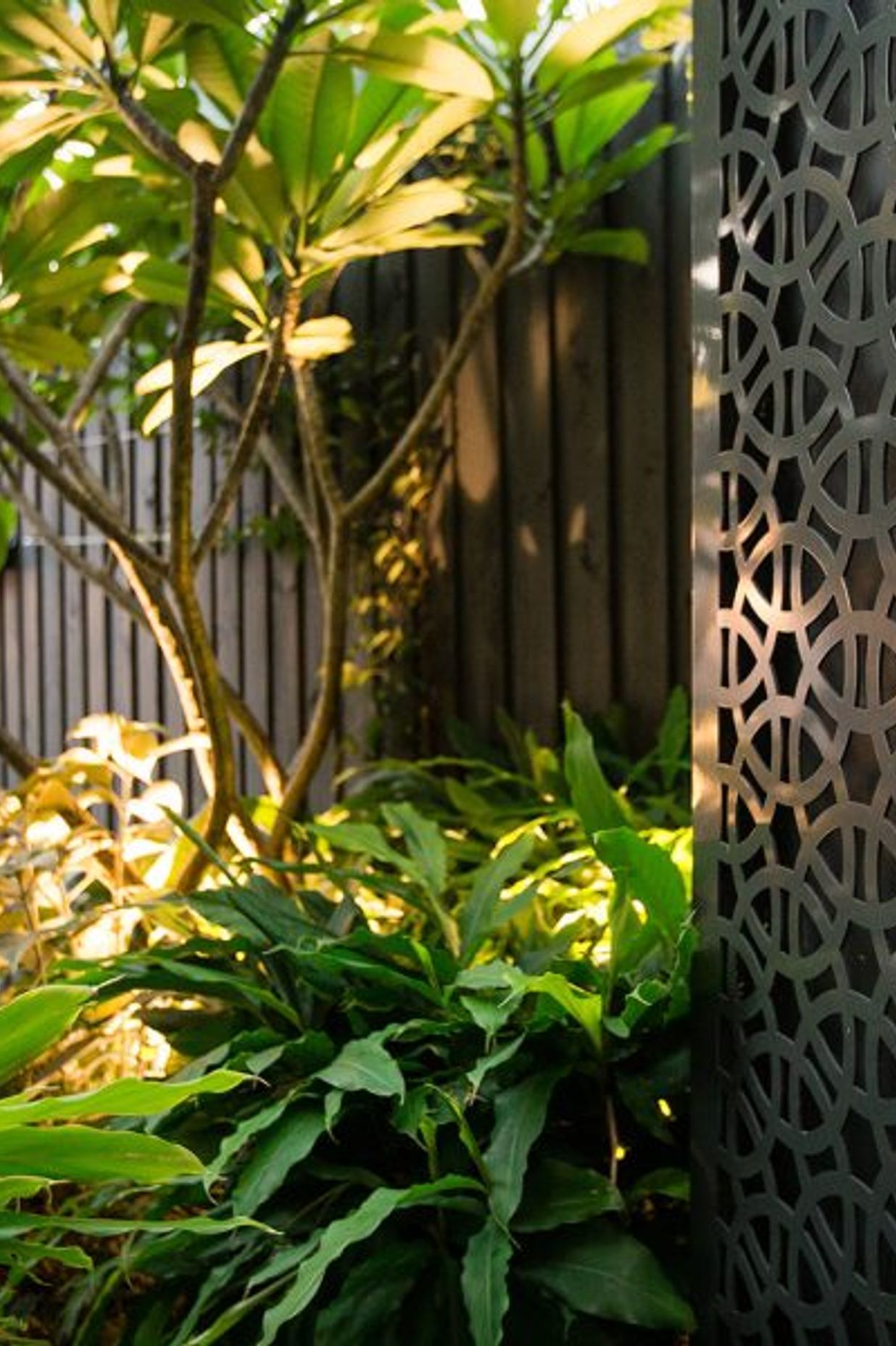 Randwick Secret Garden