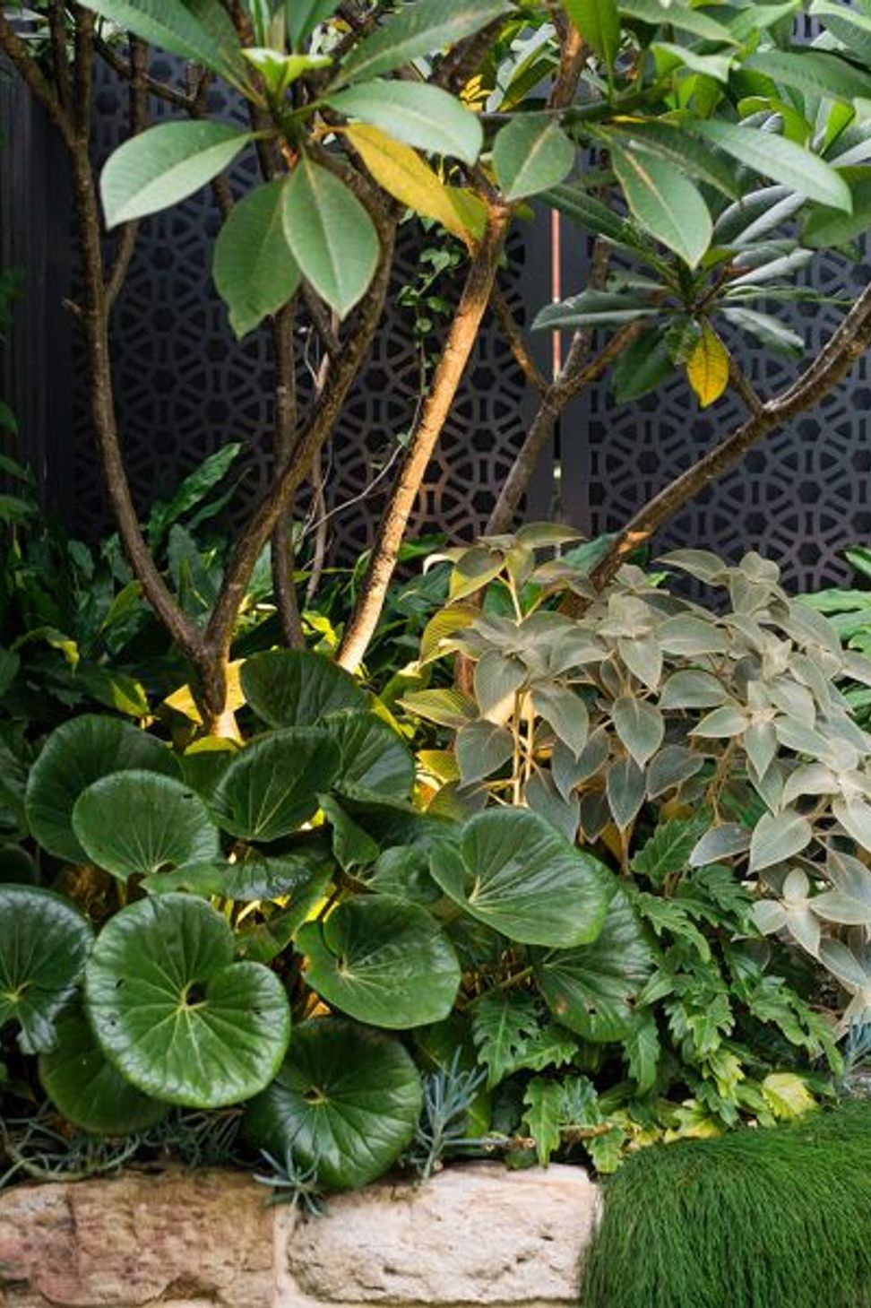 Randwick Secret Garden