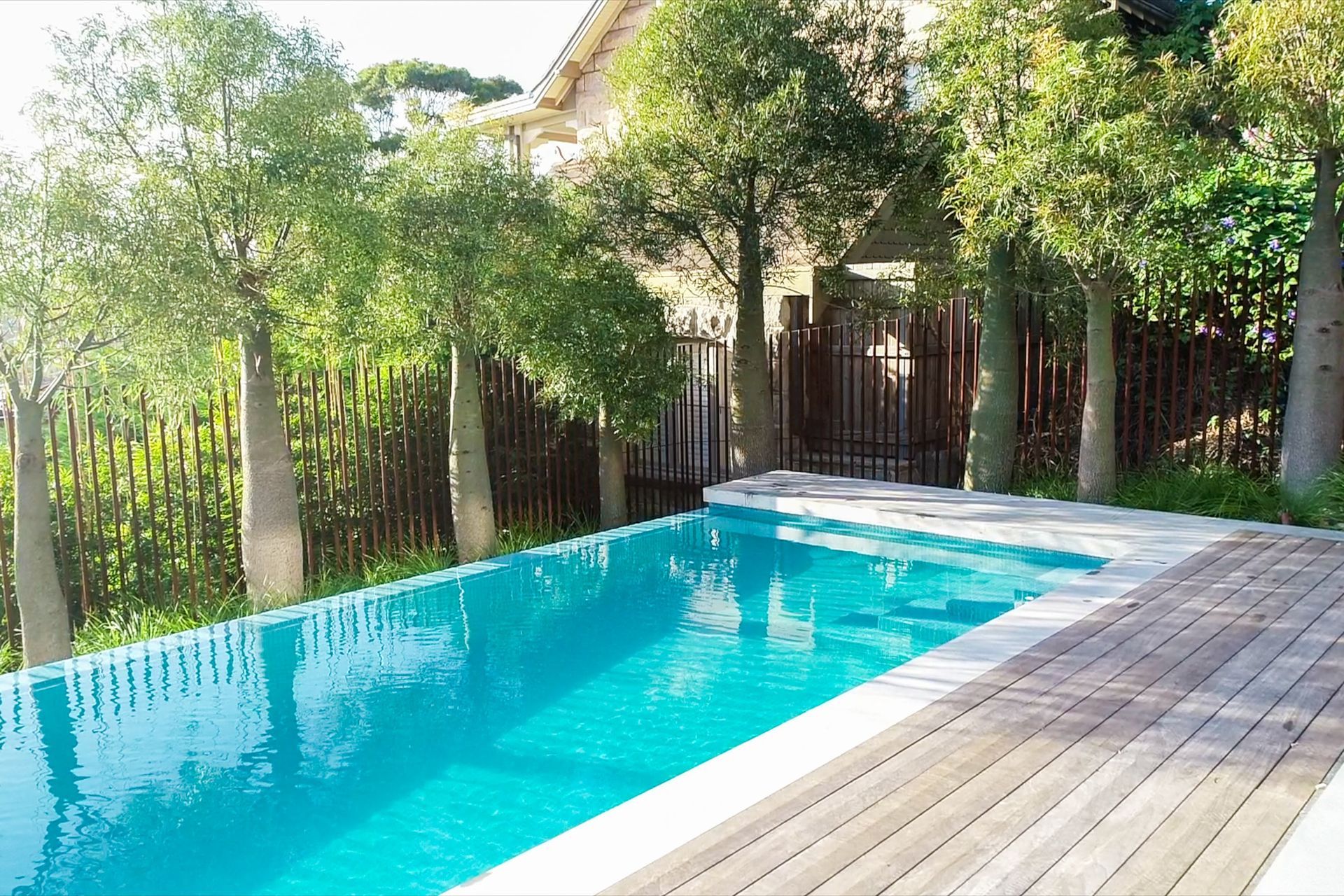 A Dream Australian Garden