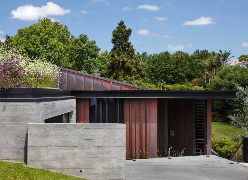 Remuera Home Rooftop Garden and Green Wall